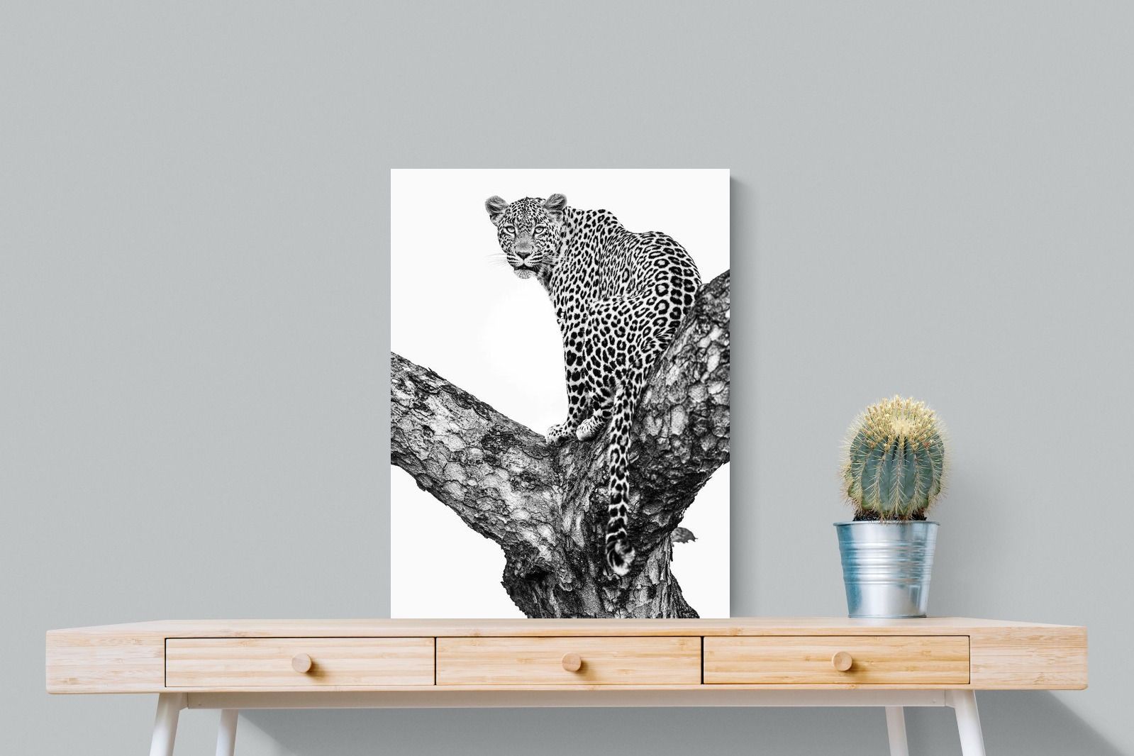 Pixalot ® Leopard in the Tree