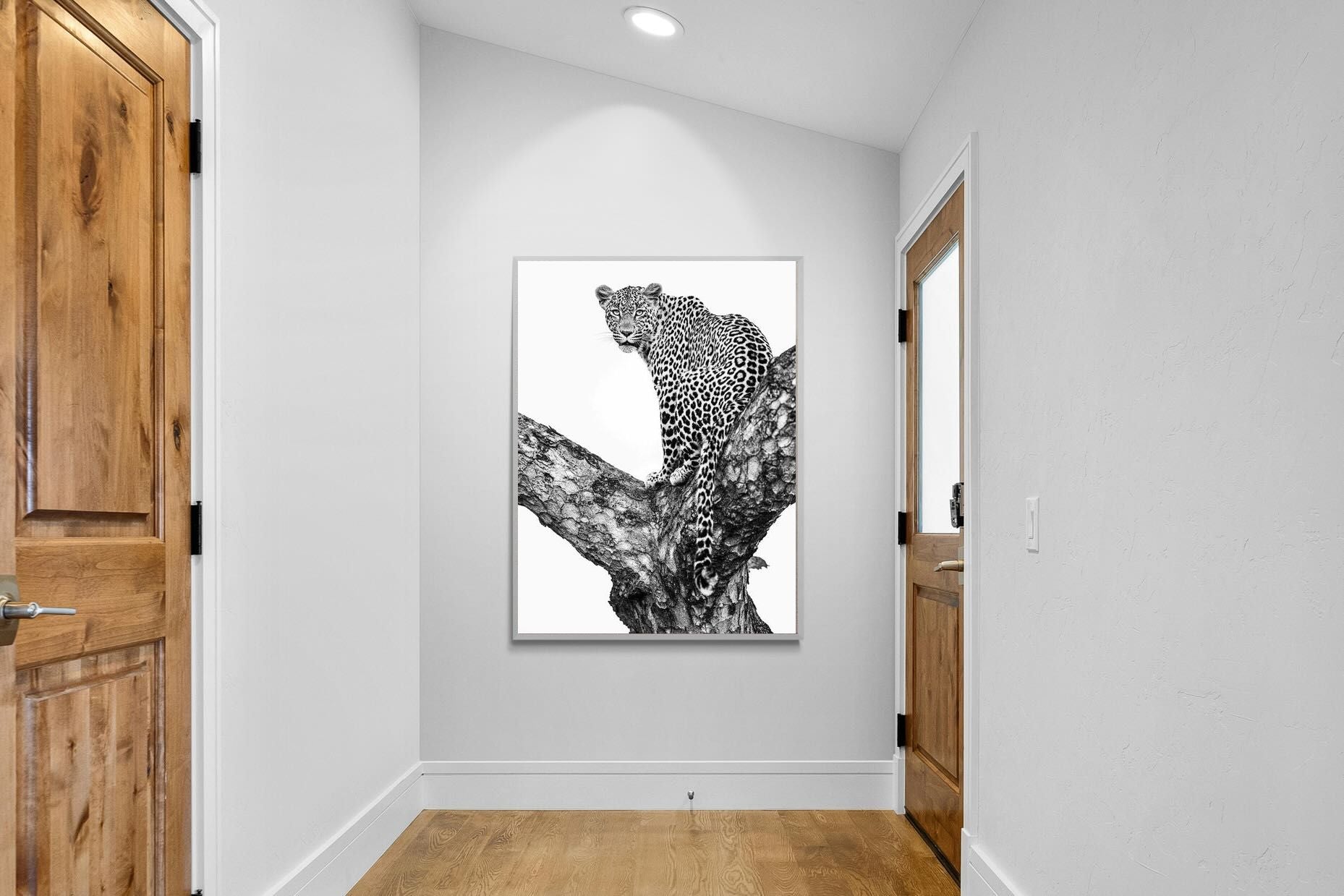 Pixalot ® Leopard in the Tree