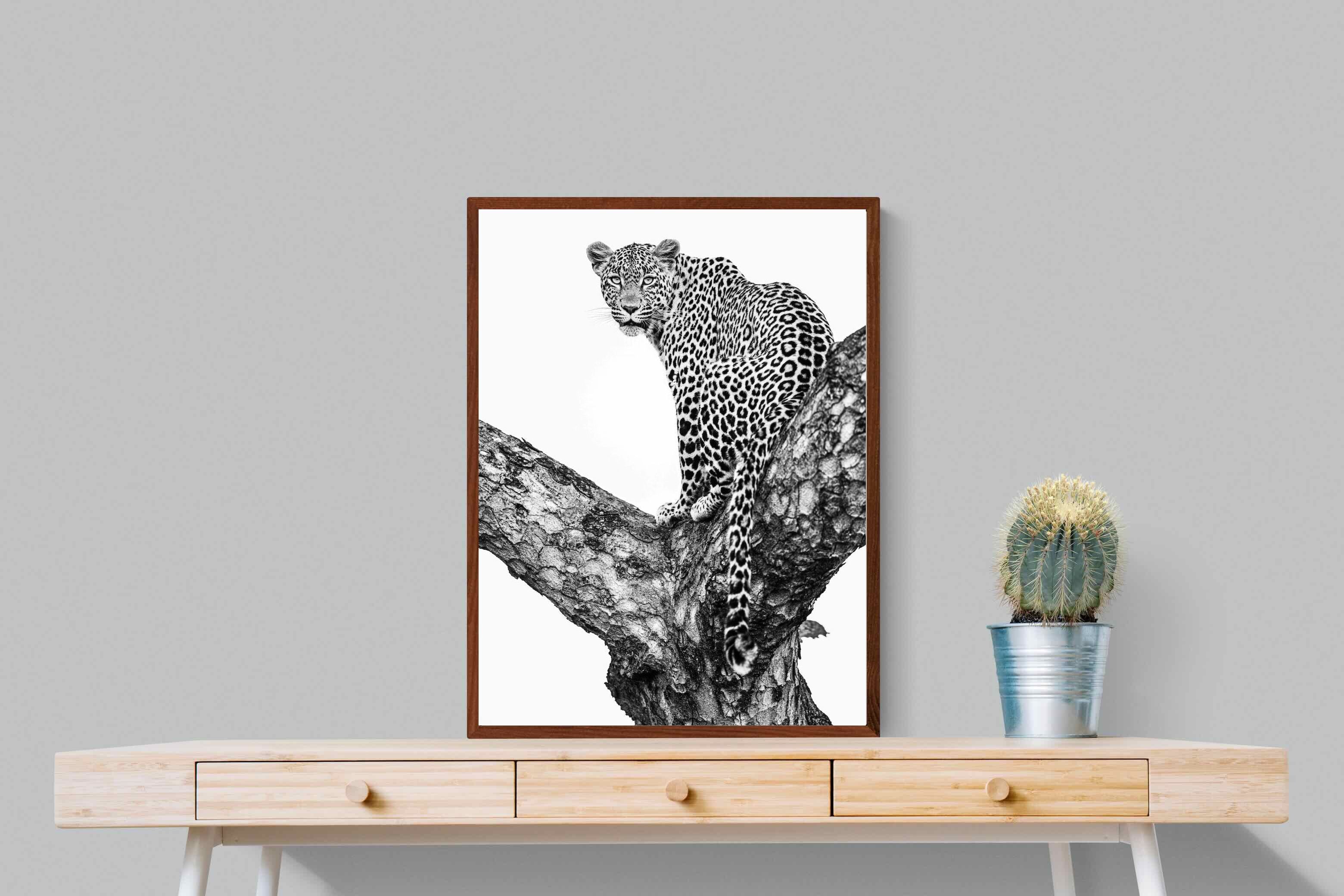 Pixalot ® Leopard in the Tree