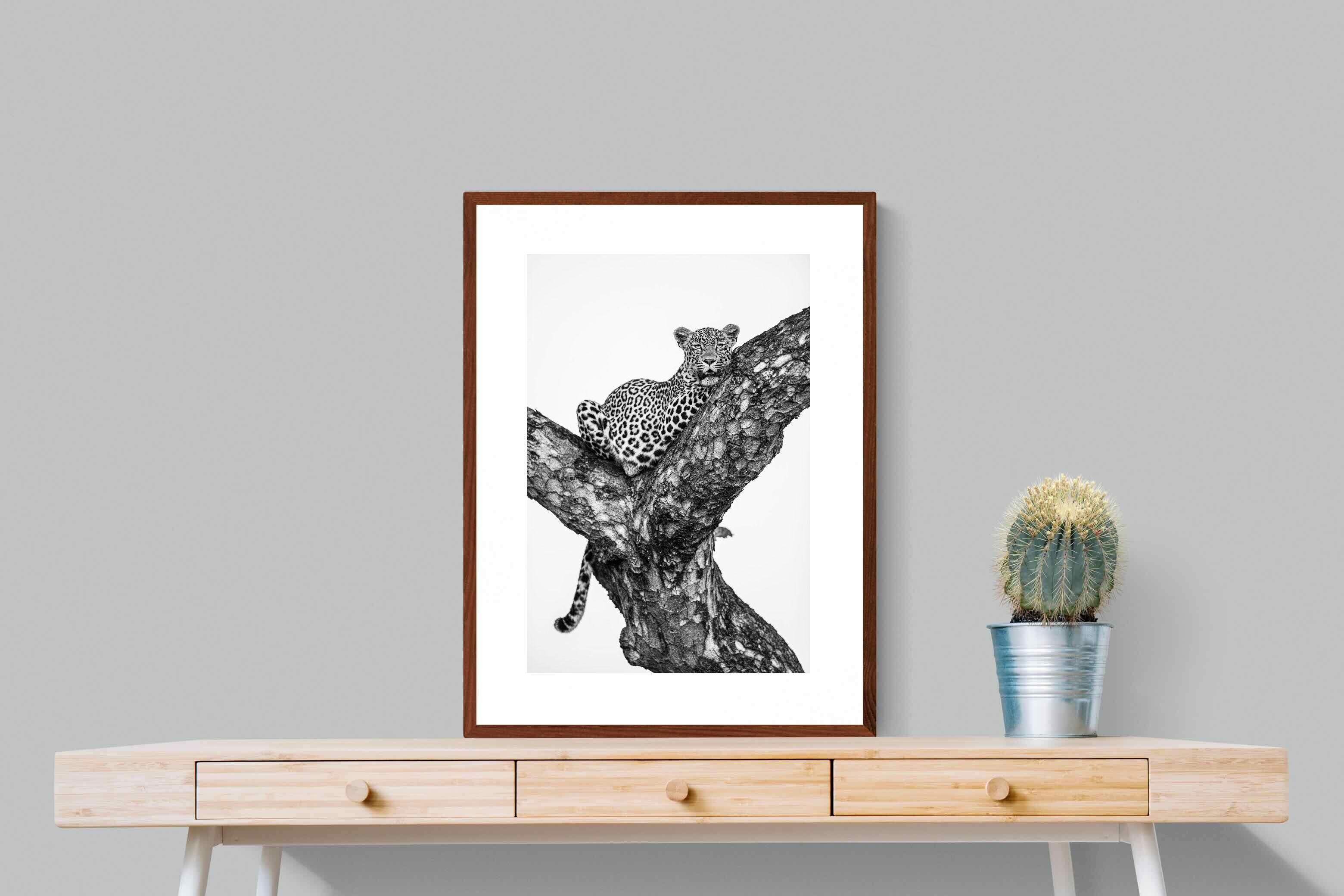 Pixalot ® Leopard Lookout