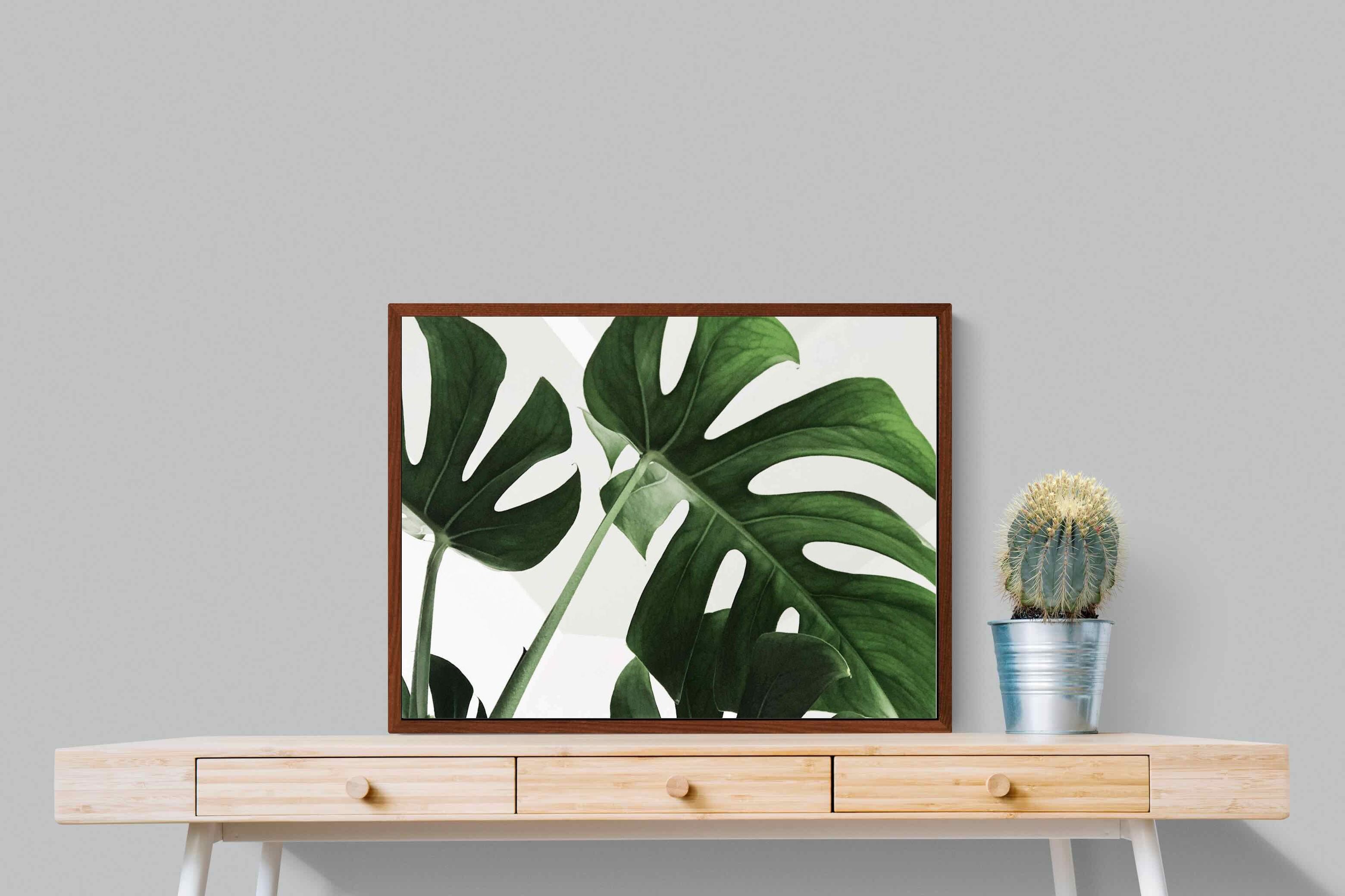 Pixalot ® Monstera