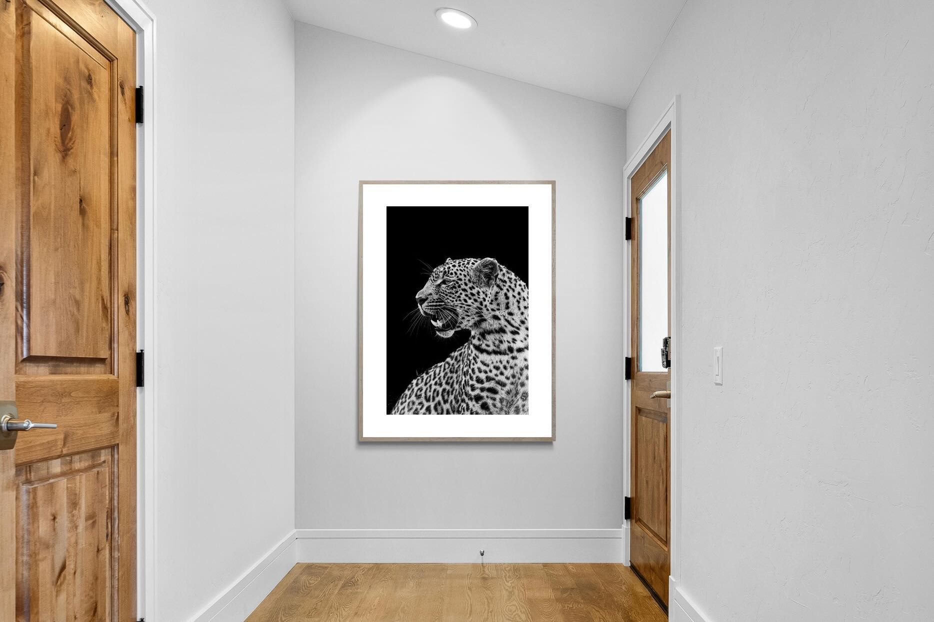 Pixalot ® Night Watch