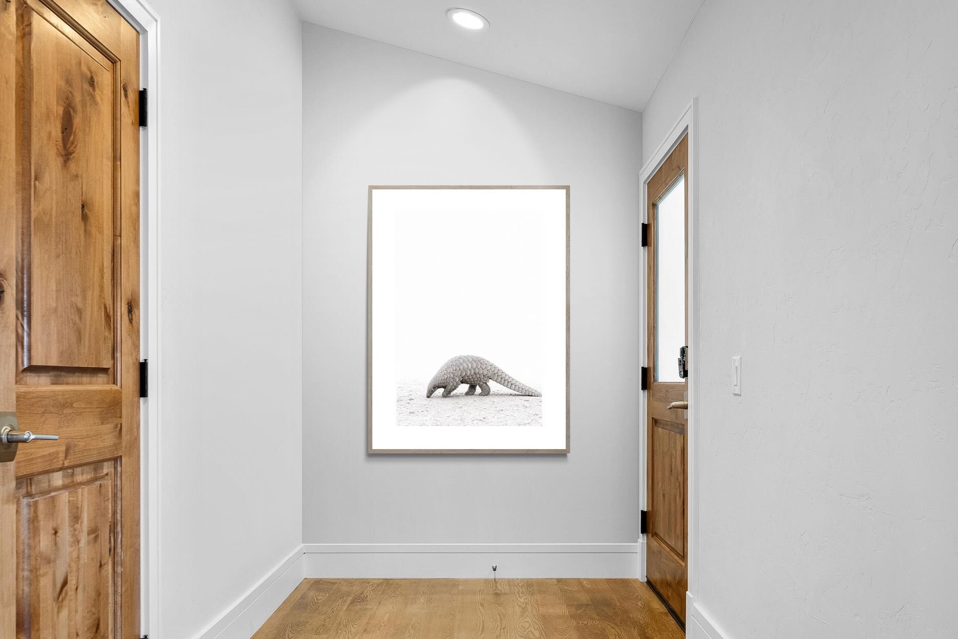 Pixalot ® Pangolin