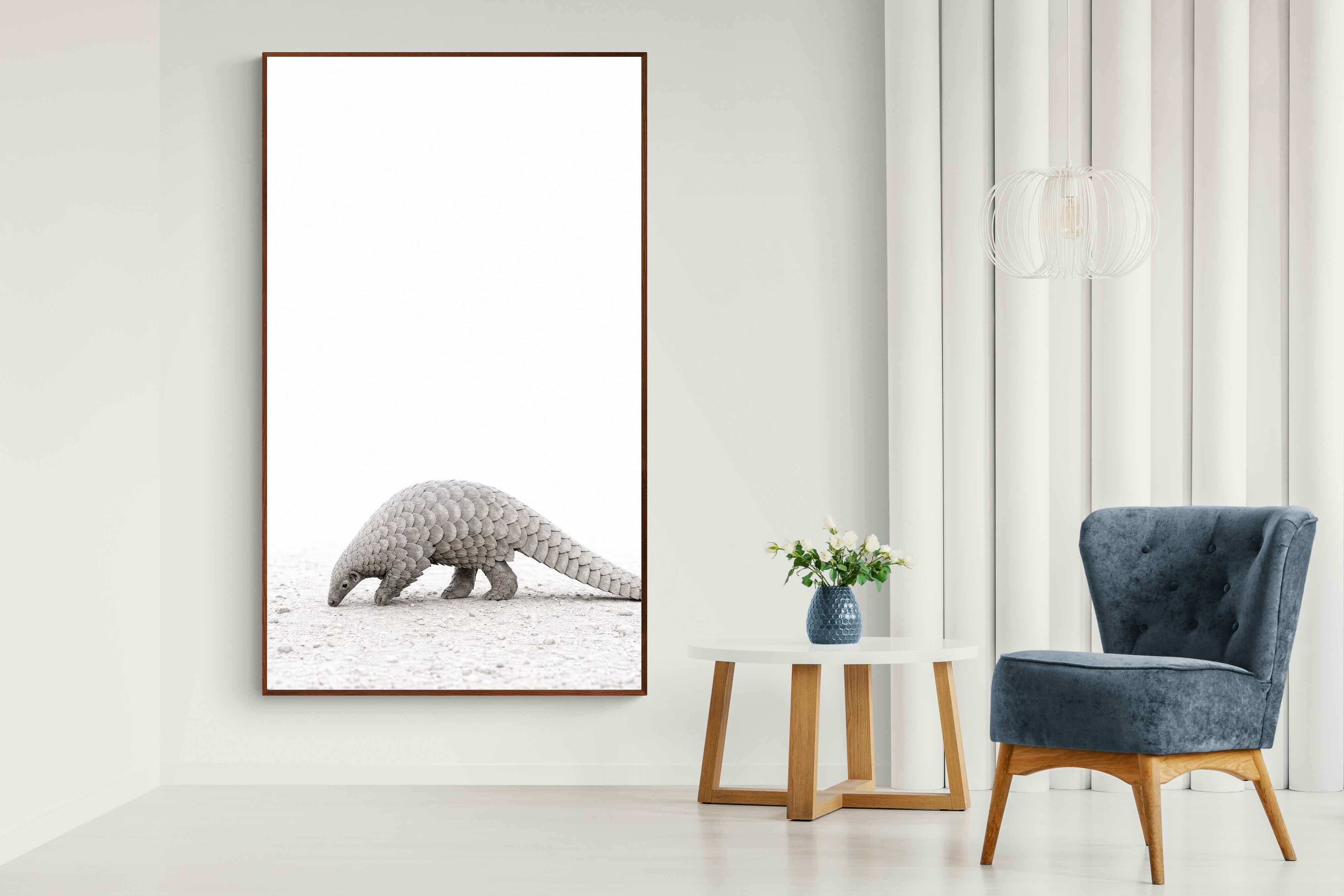 Pixalot ® Pangolin