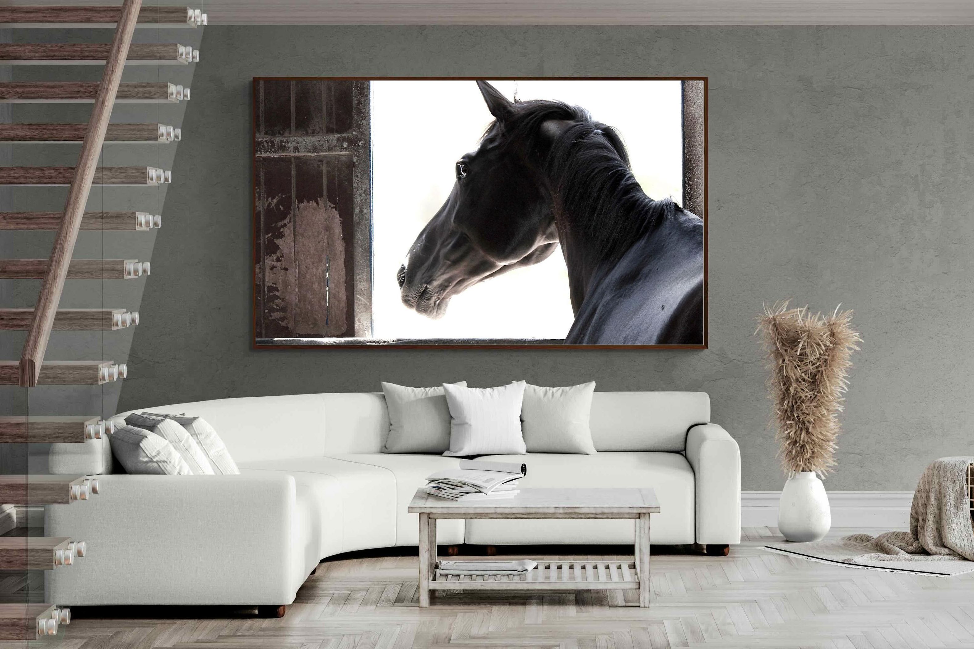 Pixalot ® Racehorse