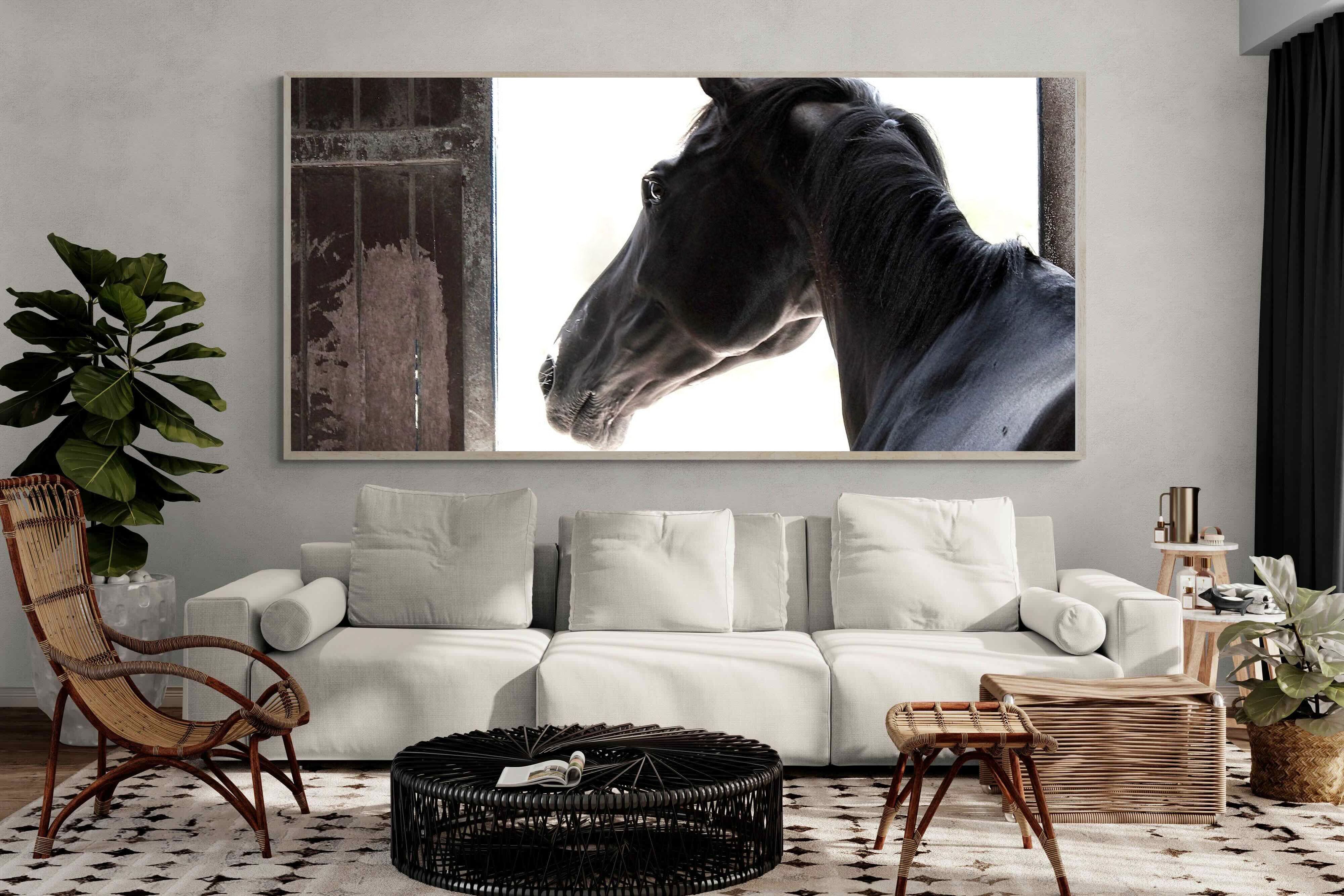 Pixalot ® Racehorse