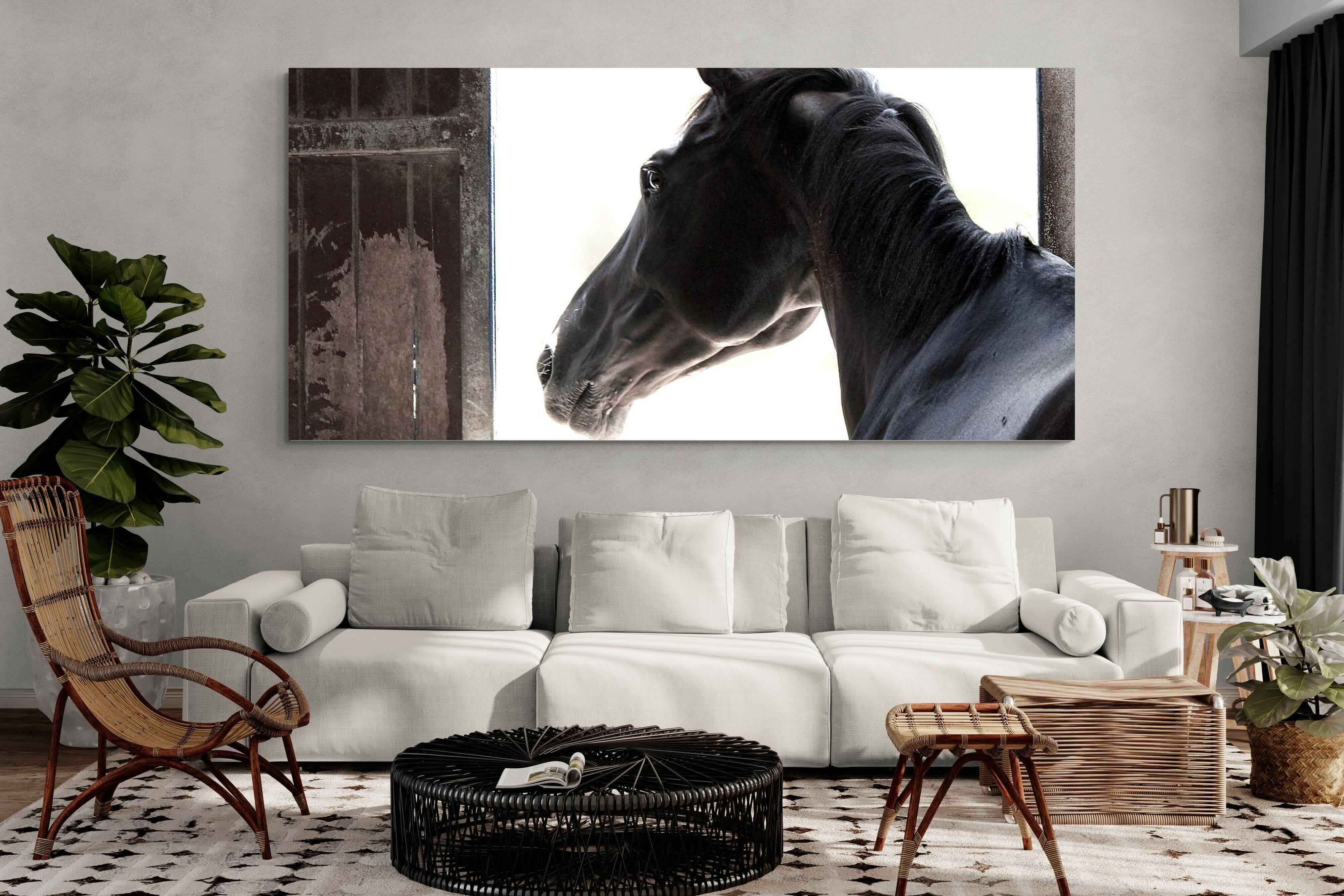 Pixalot ® Racehorse