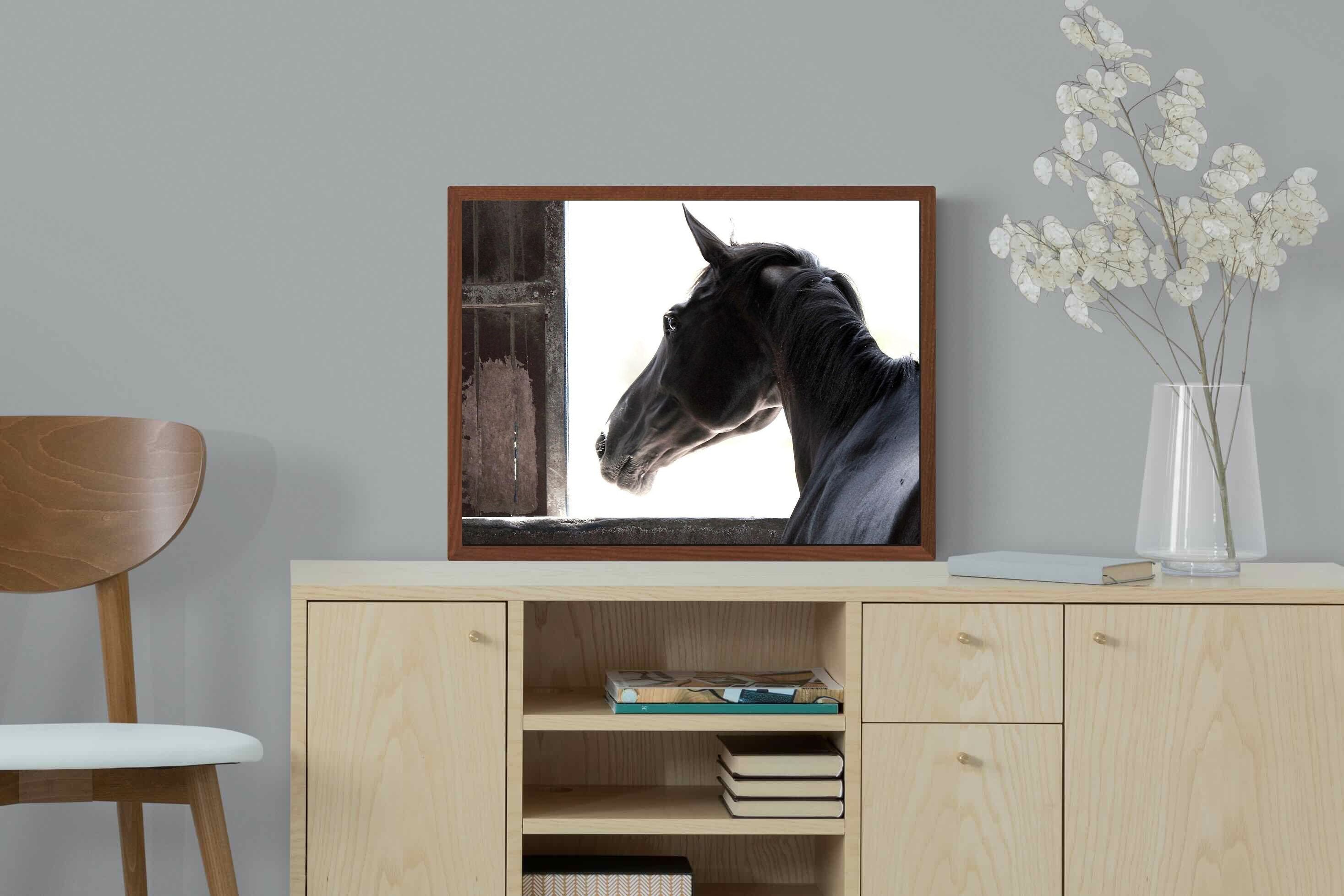Pixalot ® Racehorse