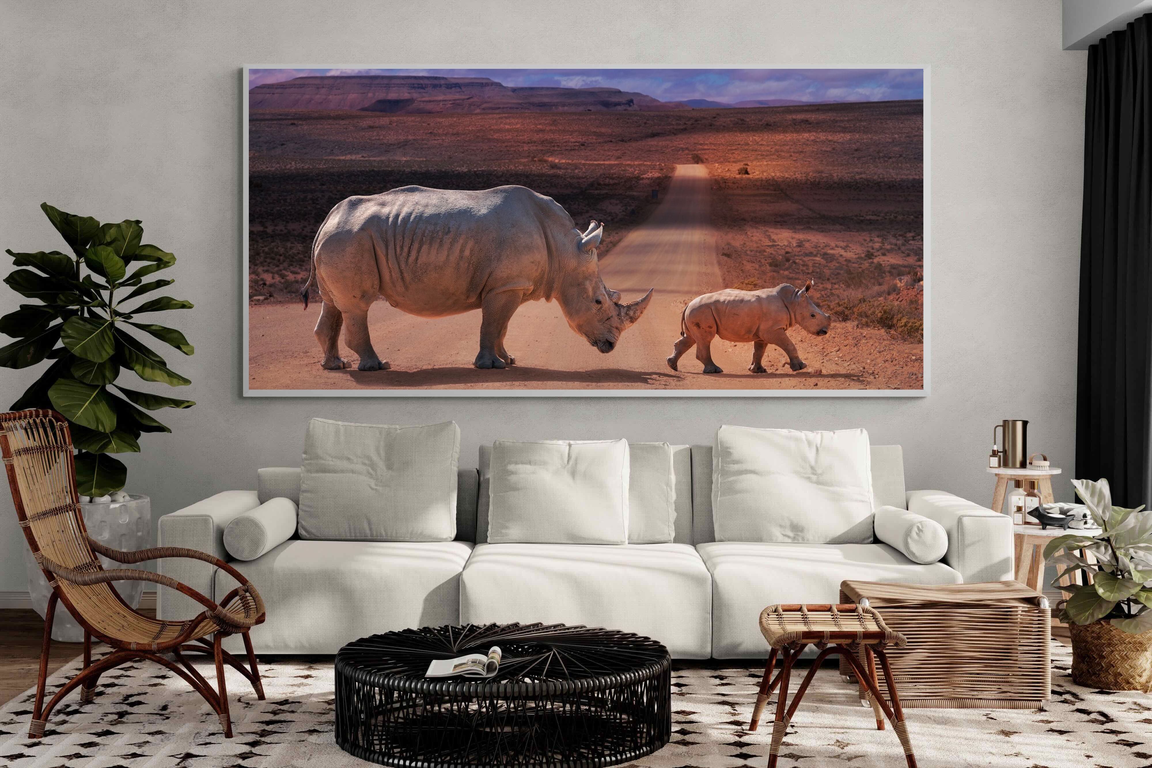 Pixalot ® Rhino Road