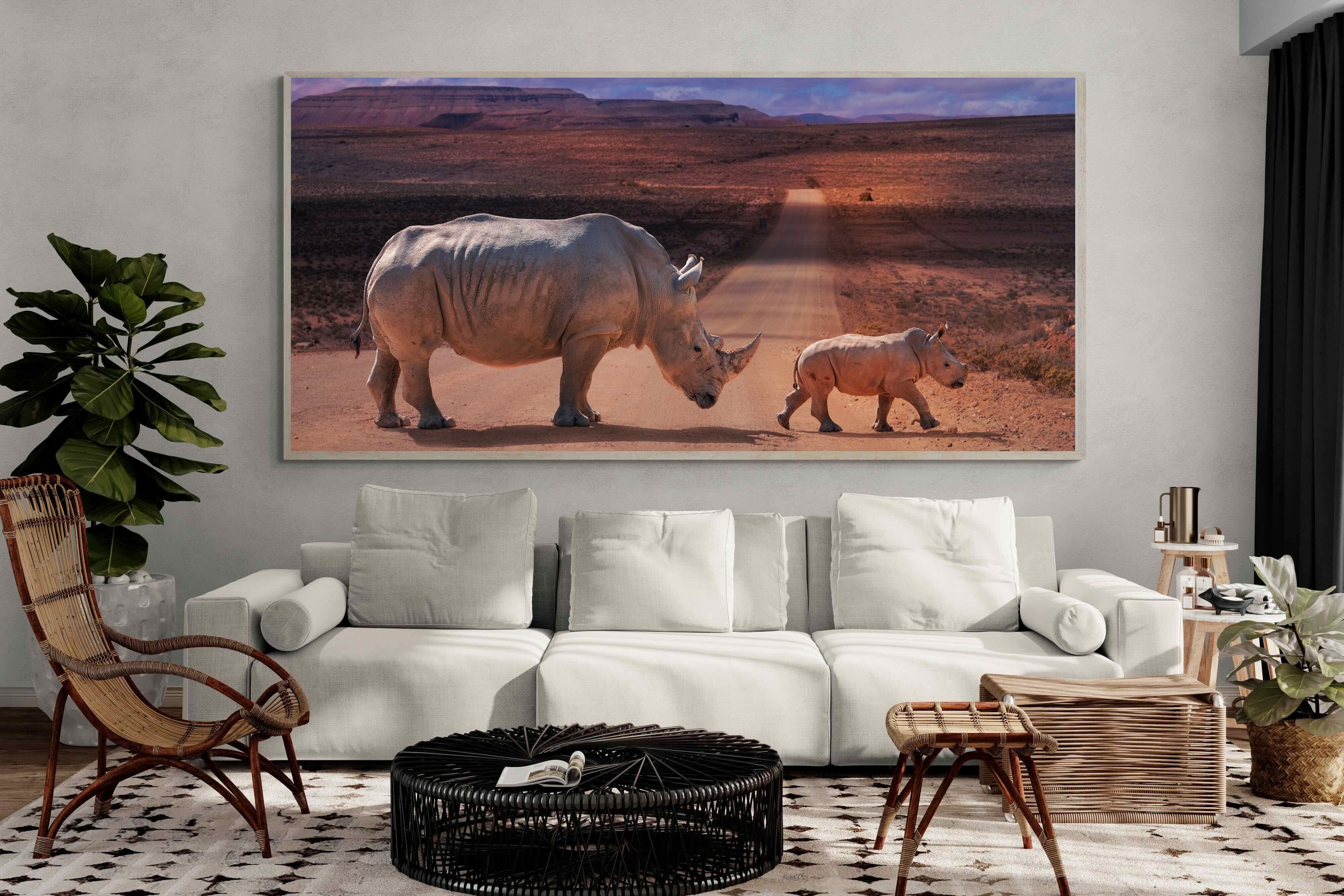 Pixalot ® Rhino Road