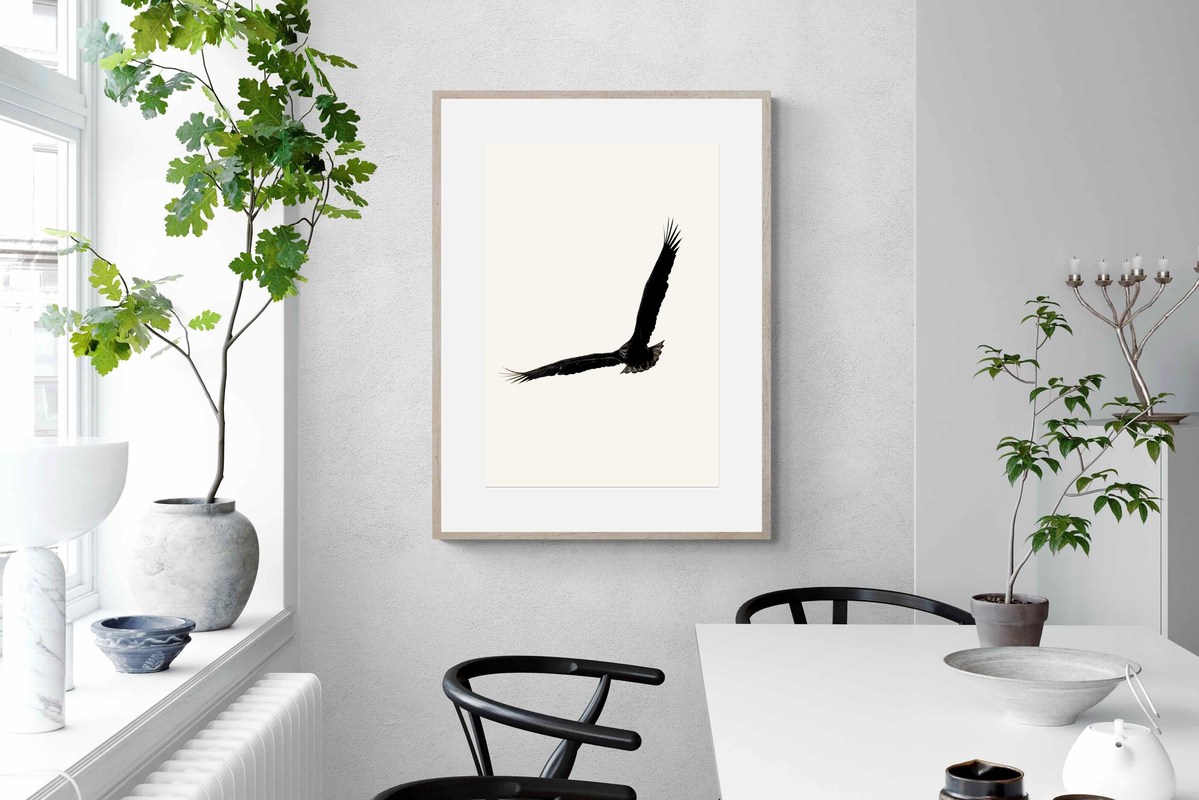 Pixalot ® Soaring Eagle