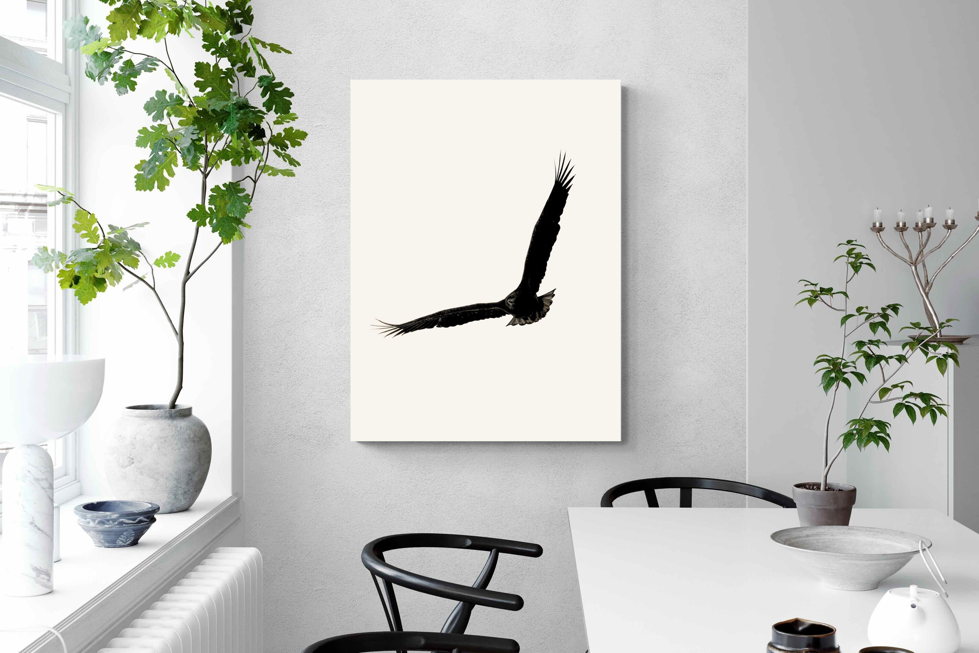 Pixalot ® Soaring Eagle