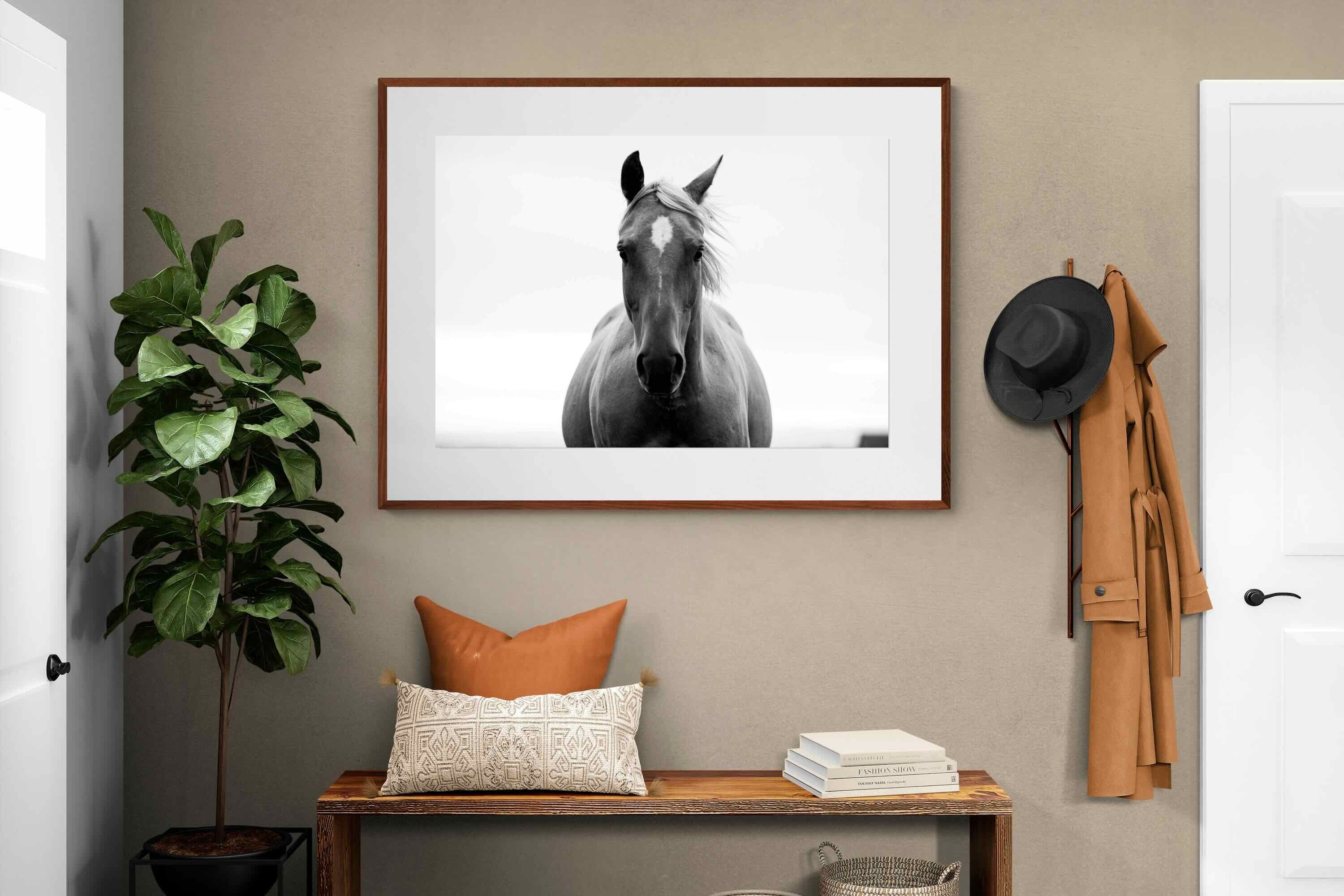 Pixalot ® Stallion