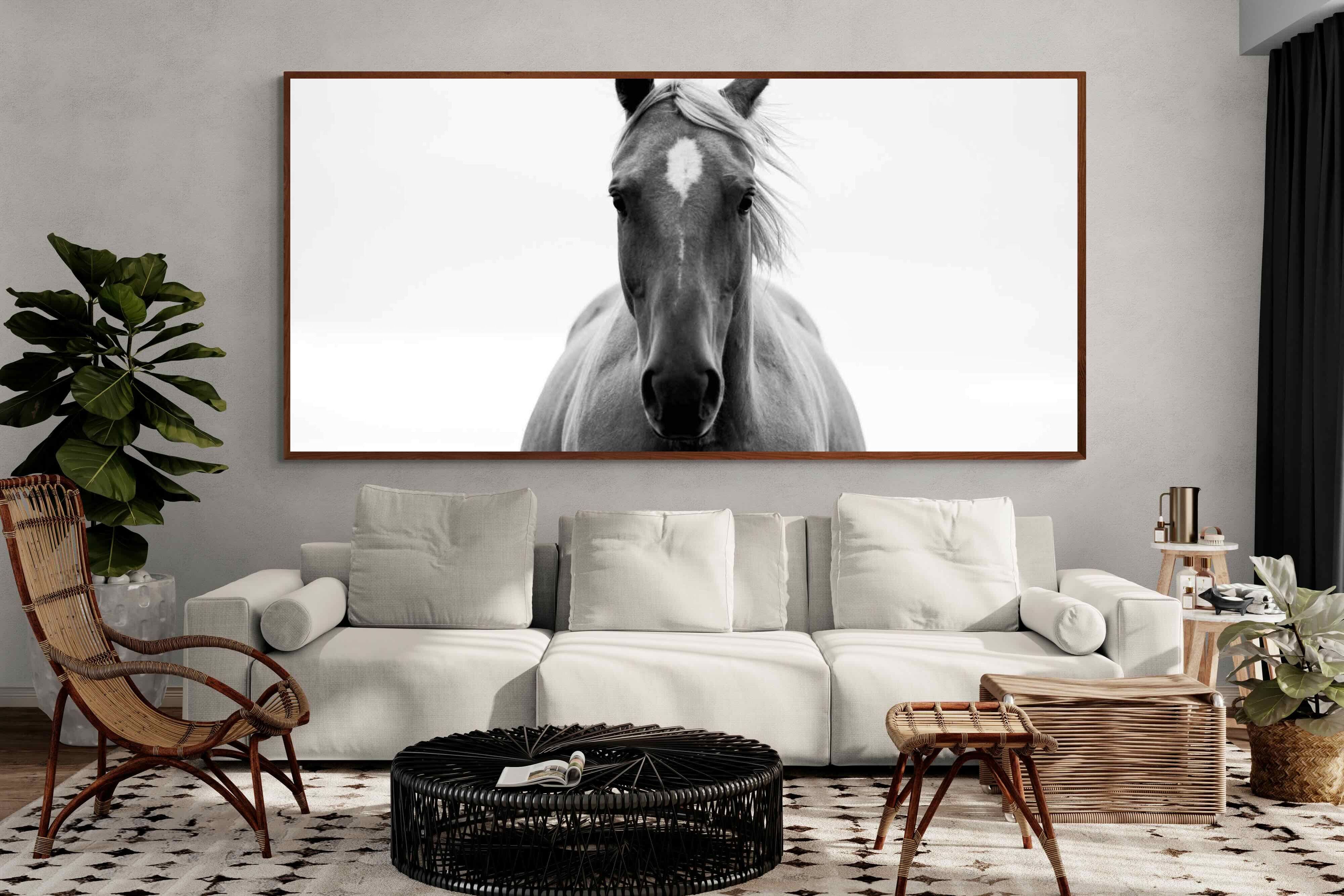 Pixalot ® Stallion