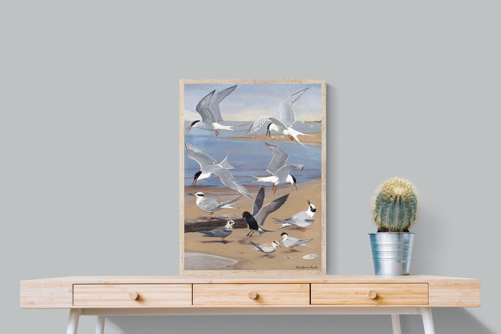 Pixalot ® Terns
