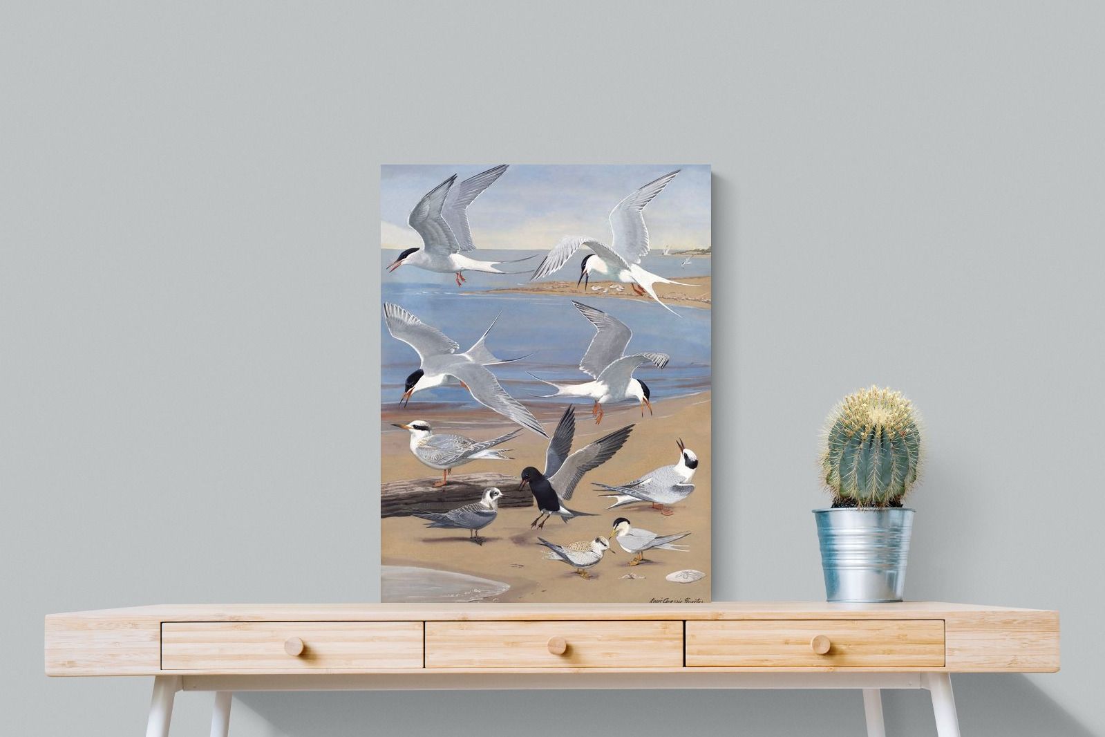 Pixalot ® Terns