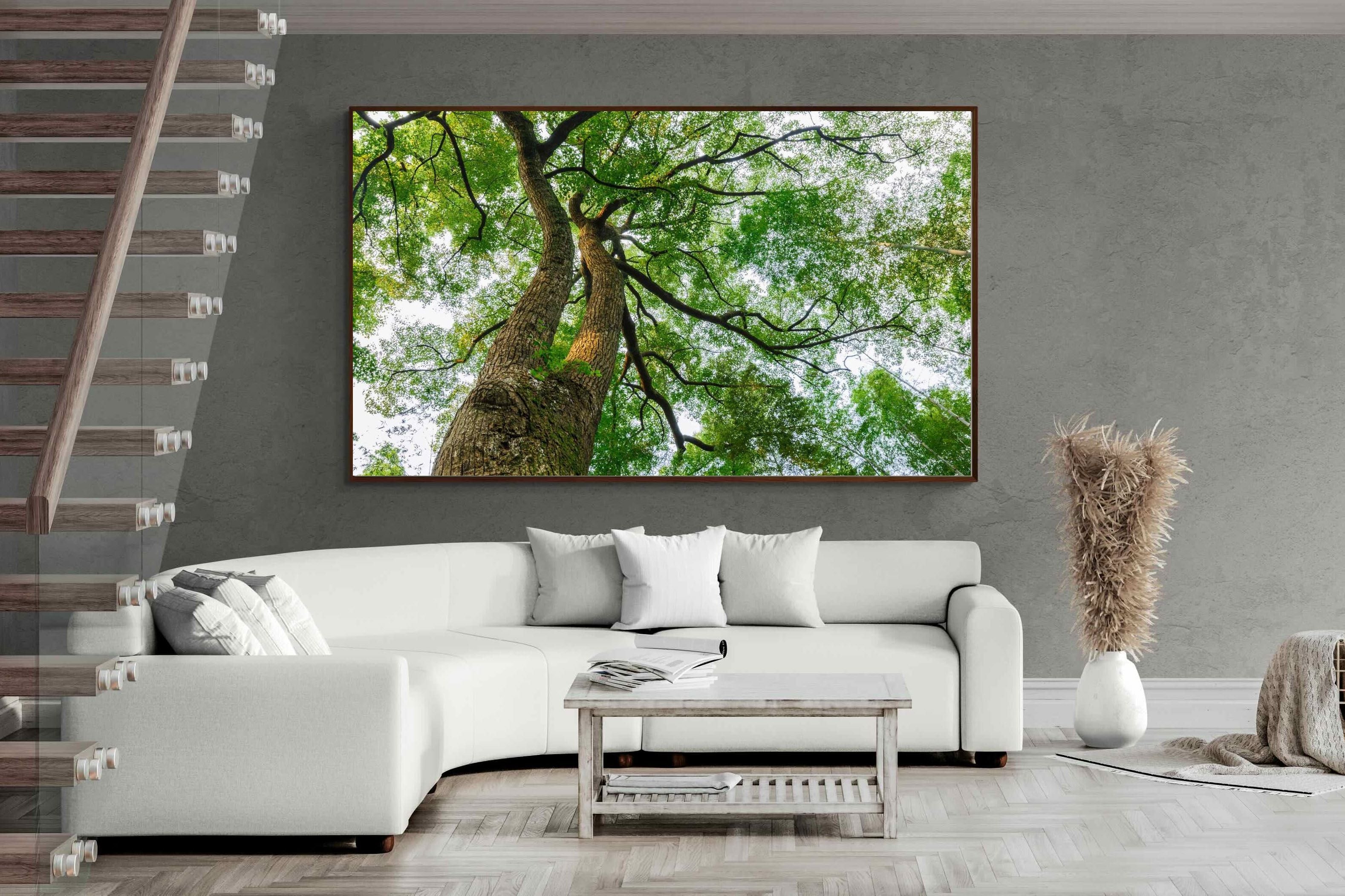 Pixalot ® Tree Canopy