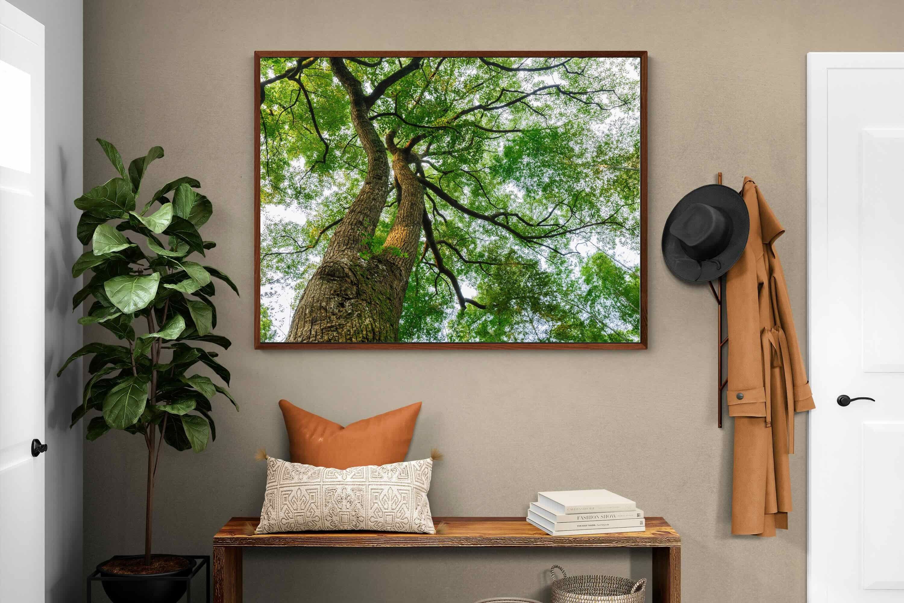 Pixalot ® Tree Canopy