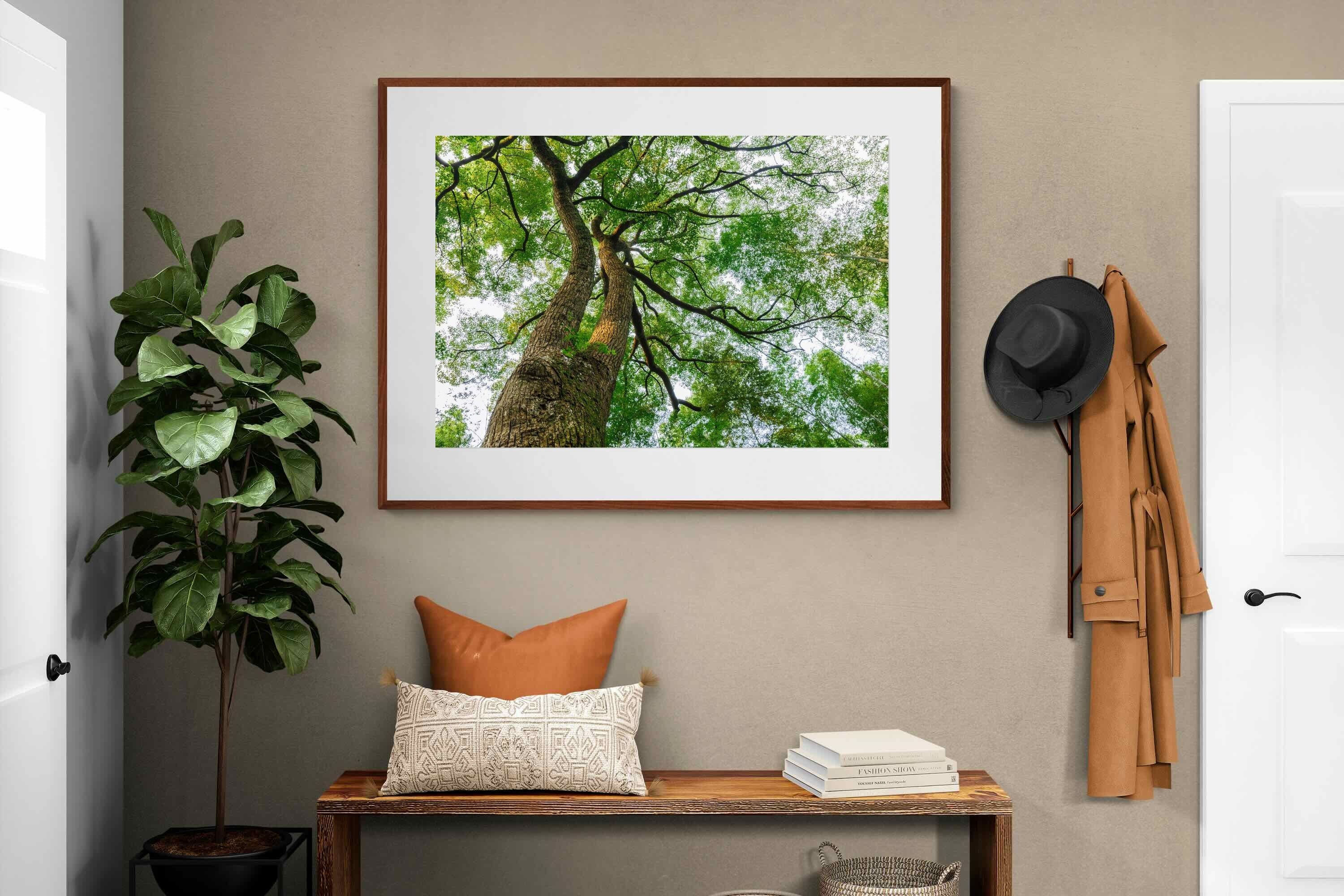 Pixalot ® Tree Canopy