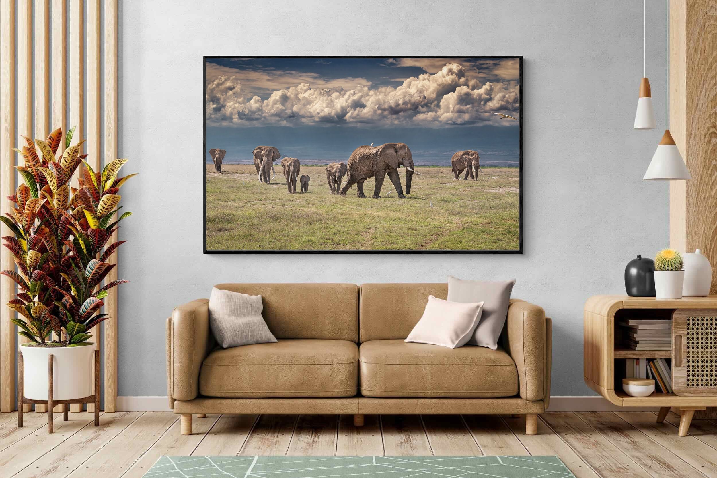 Pixalot Under Gathering Skies