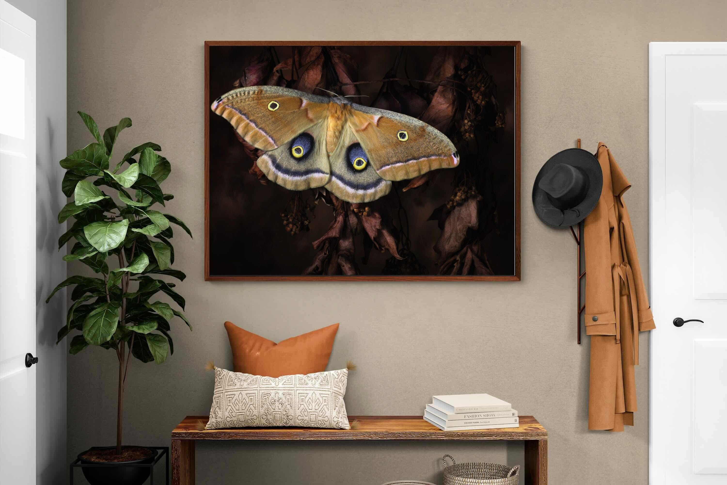 Pixalot ® Polyphemus
