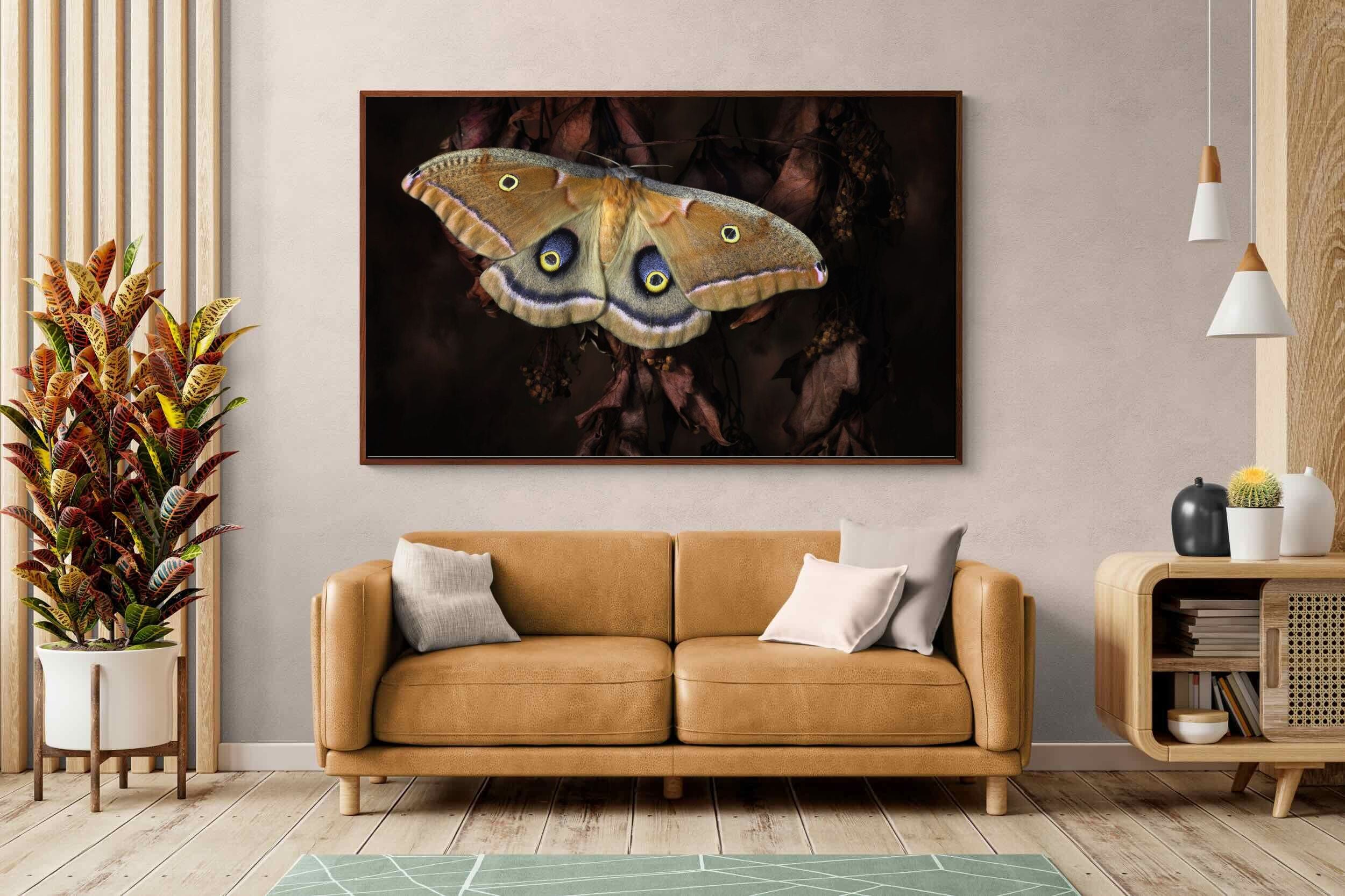 Pixalot ® Polyphemus