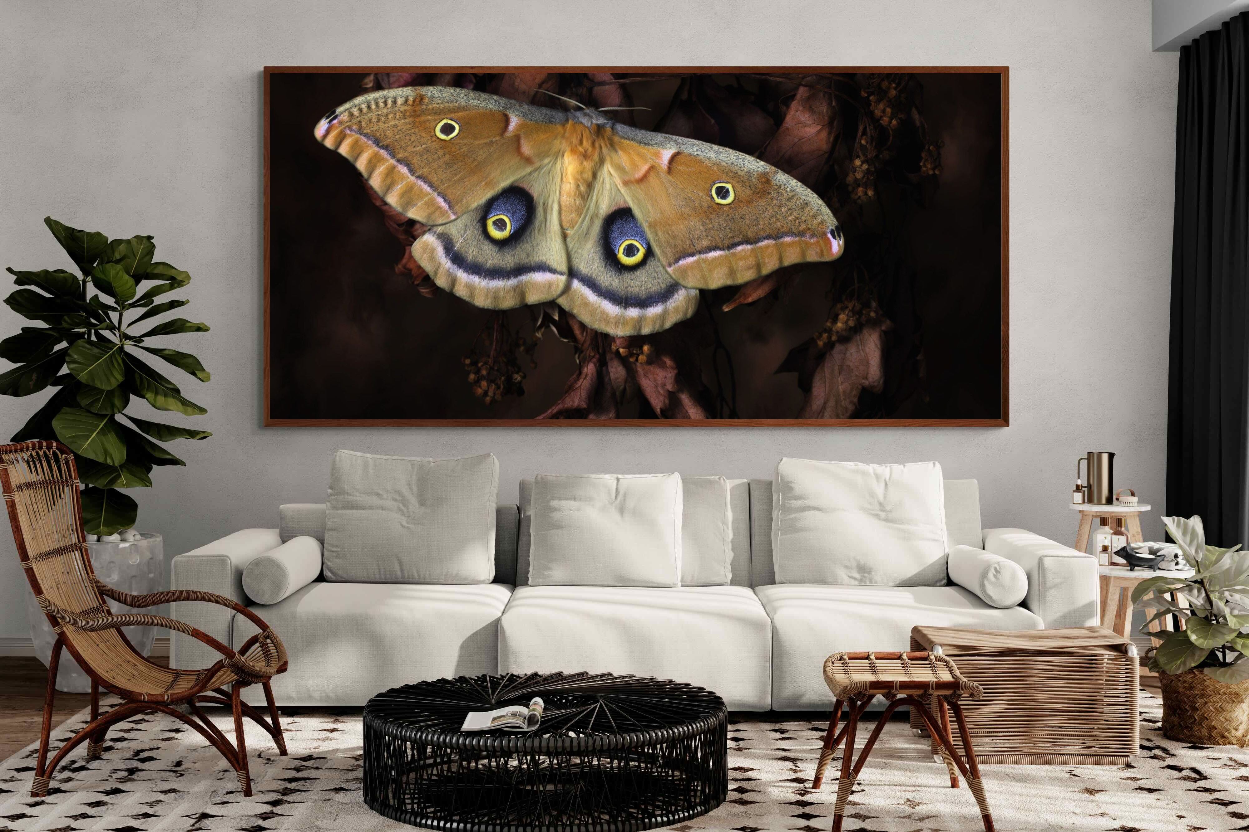 Pixalot ® Polyphemus
