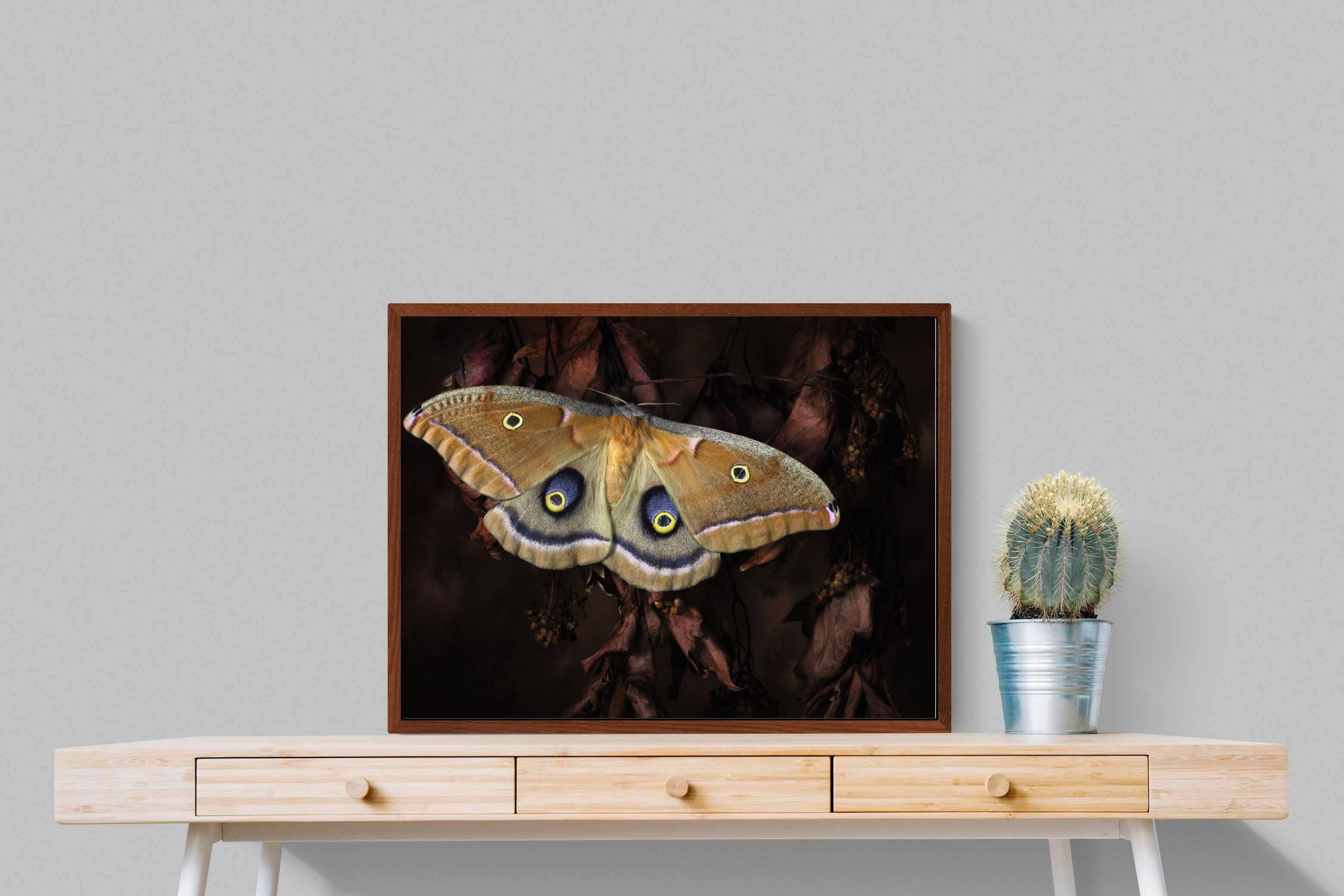 Pixalot ® Polyphemus