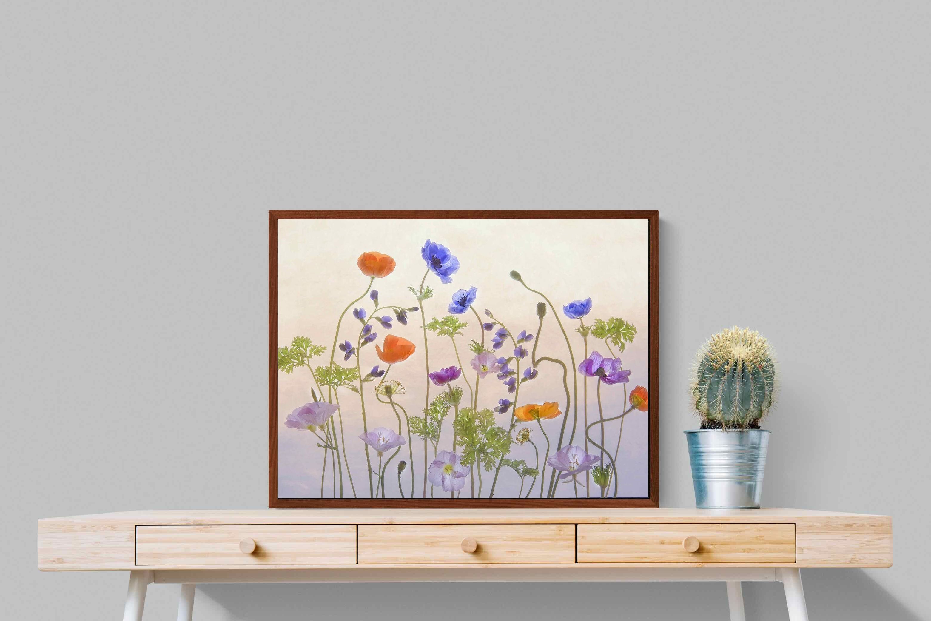 Pixalot ® Poppy Anemone
