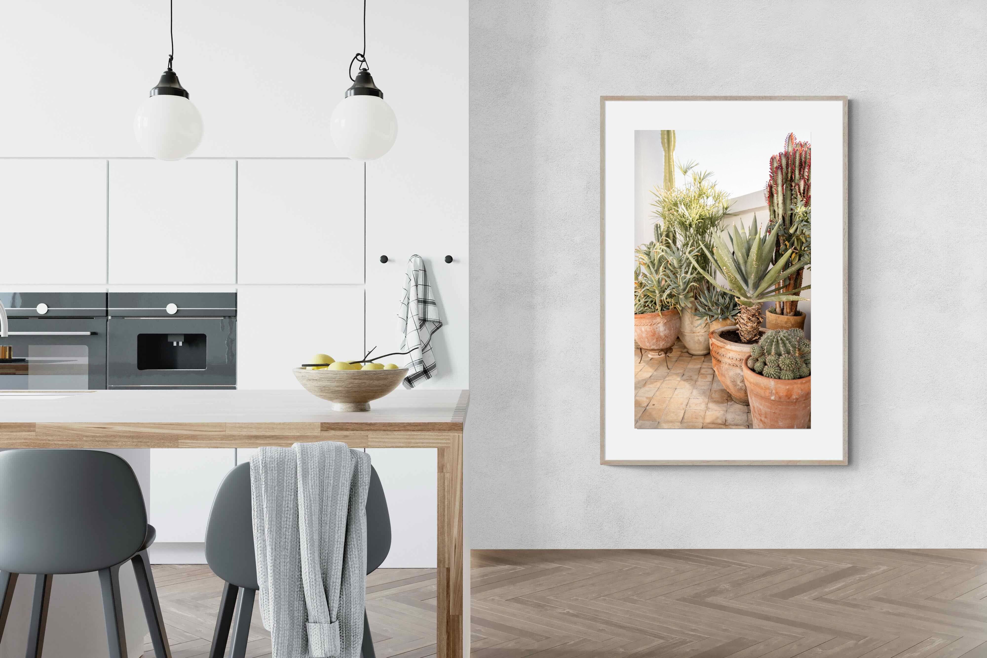 Pixalot Potted Succulents