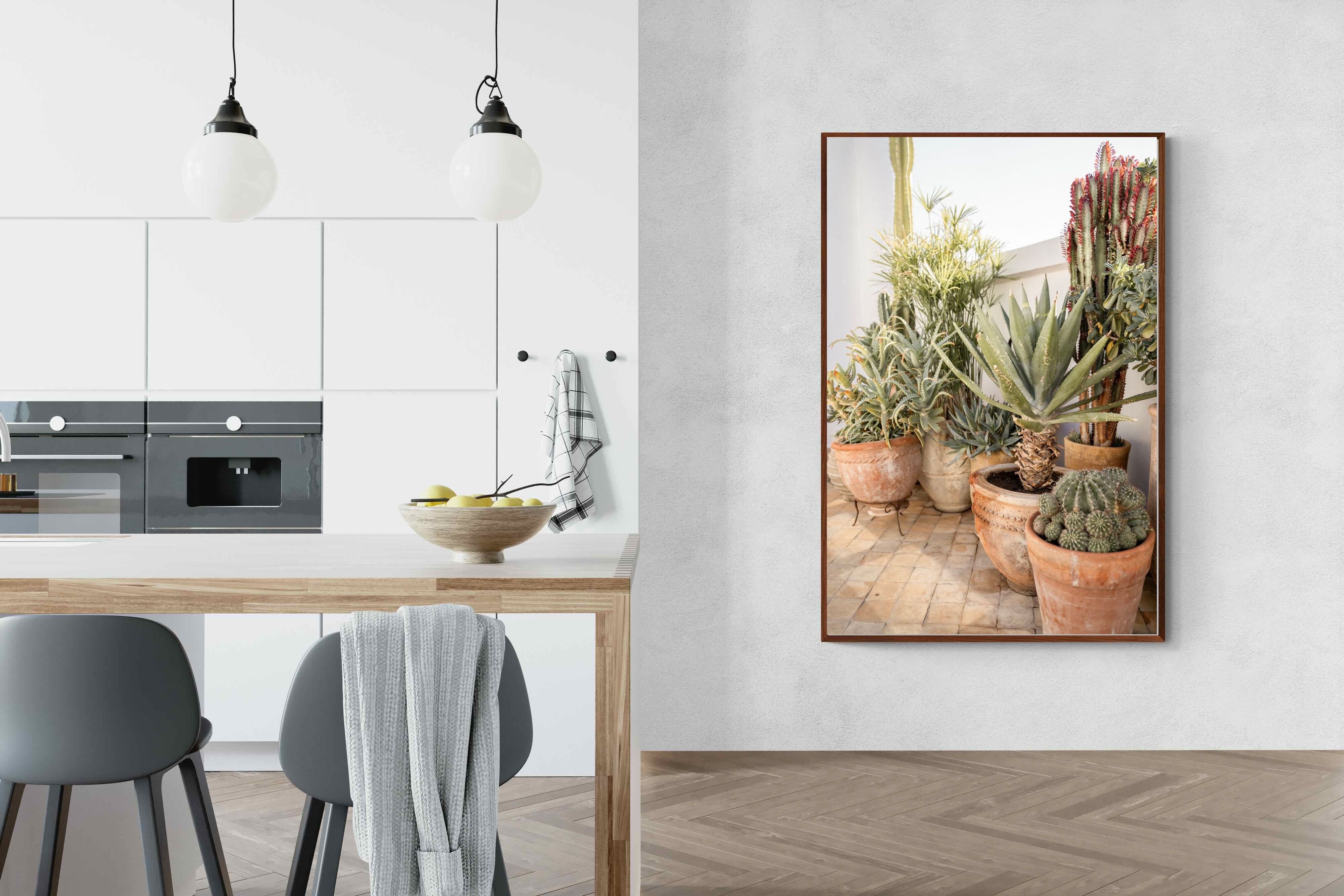 Pixalot Potted Succulents