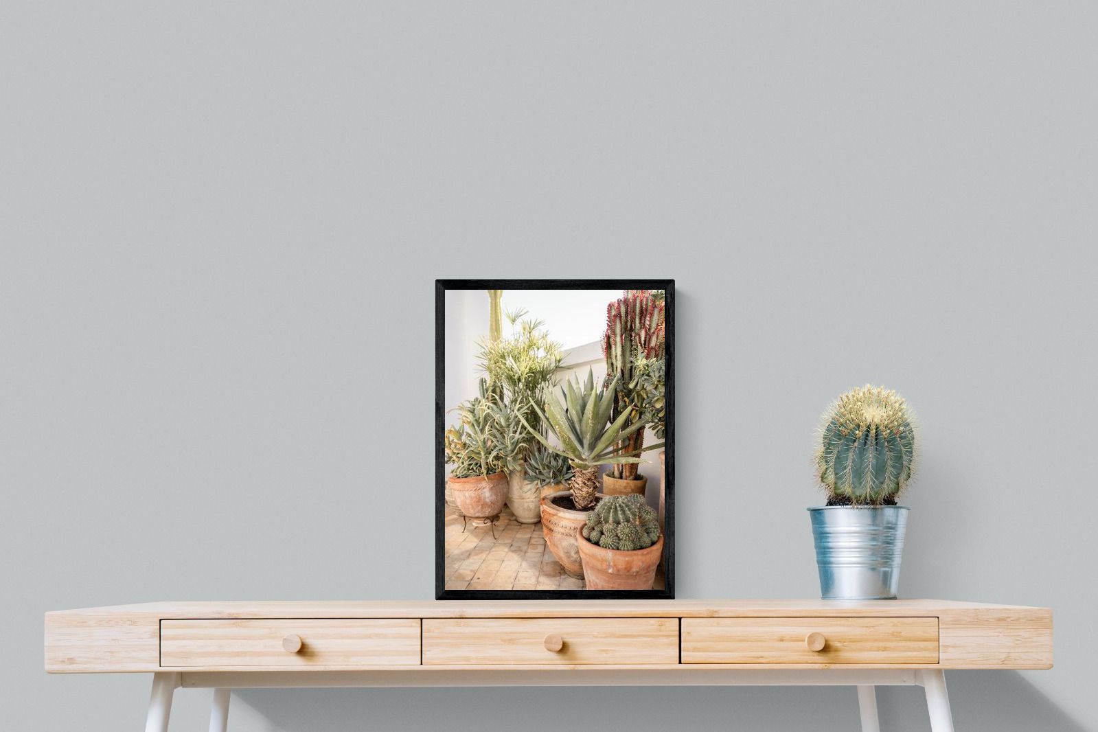 Pixalot Potted Succulents