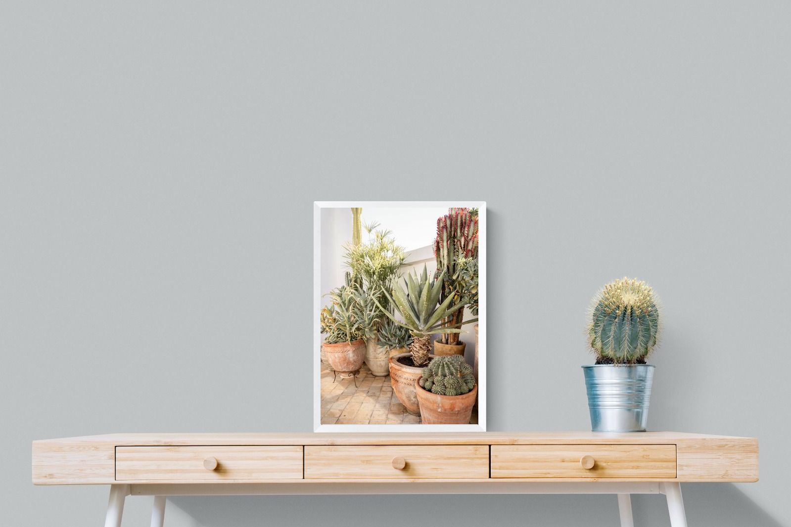 Pixalot Potted Succulents