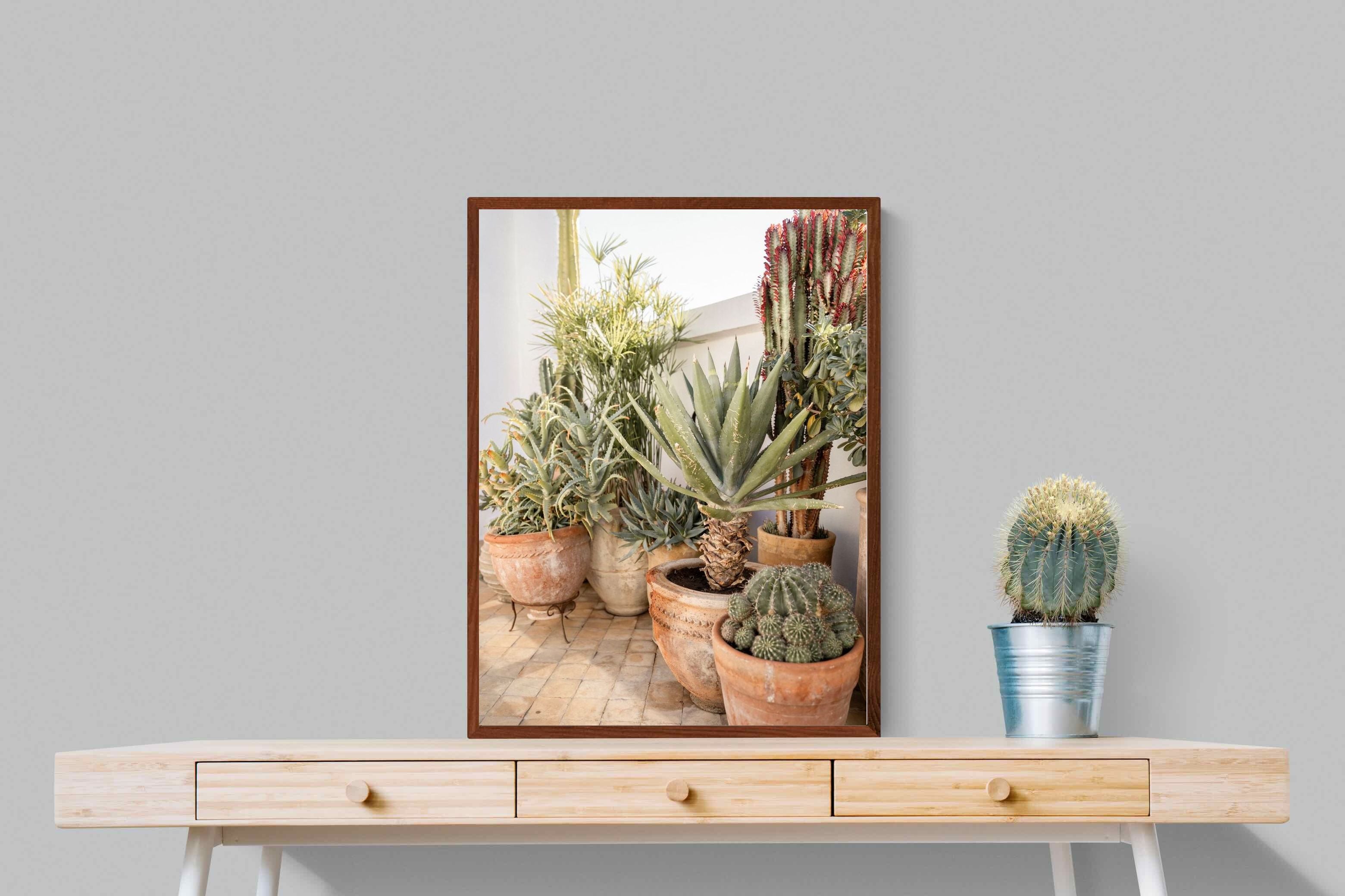 Pixalot Potted Succulents