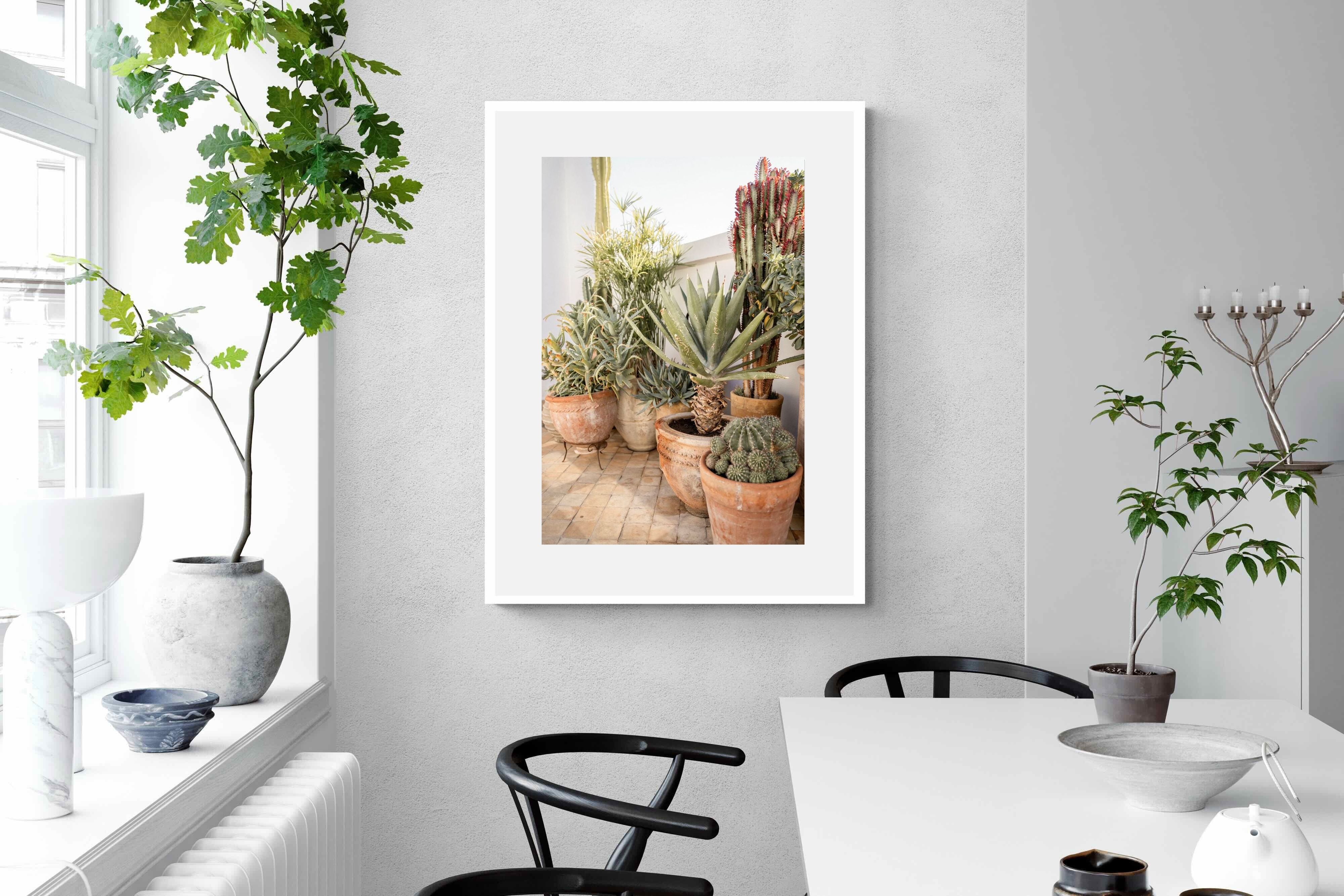 Pixalot Potted Succulents