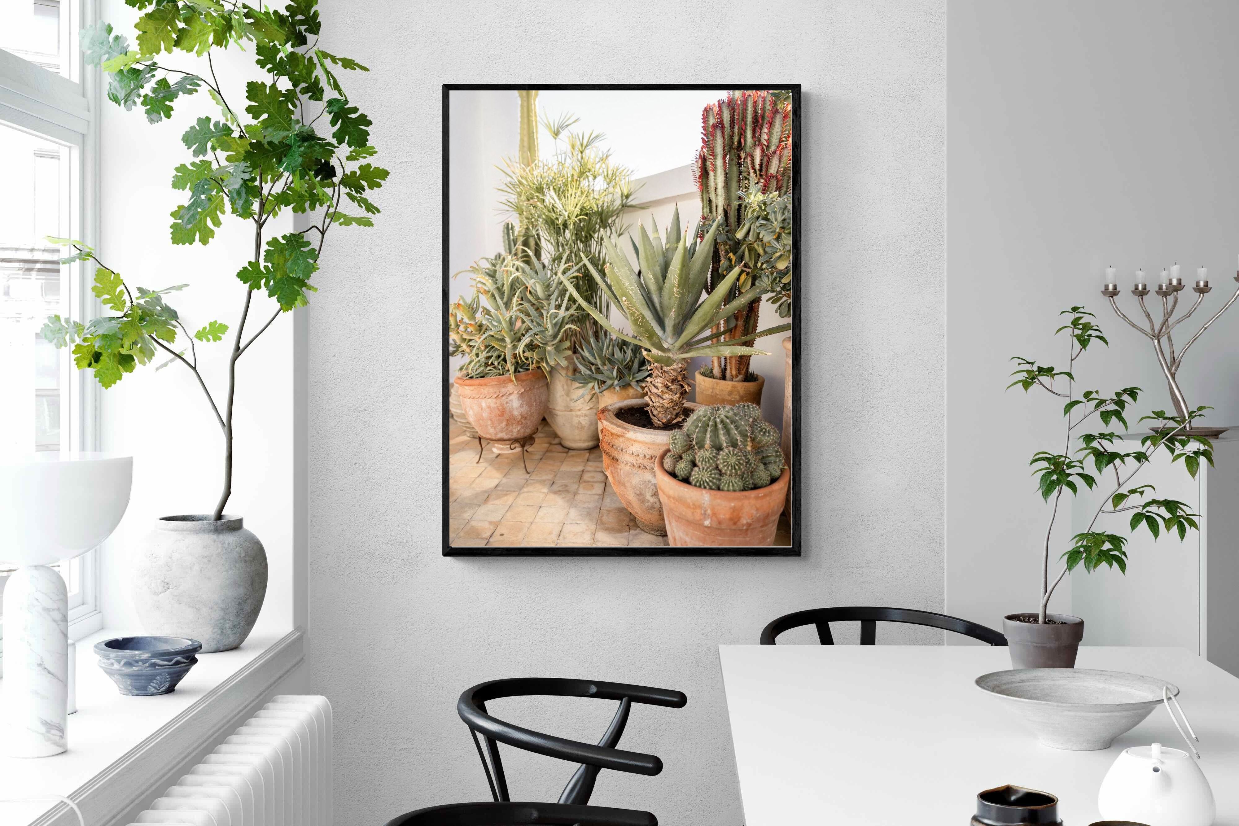 Pixalot Potted Succulents