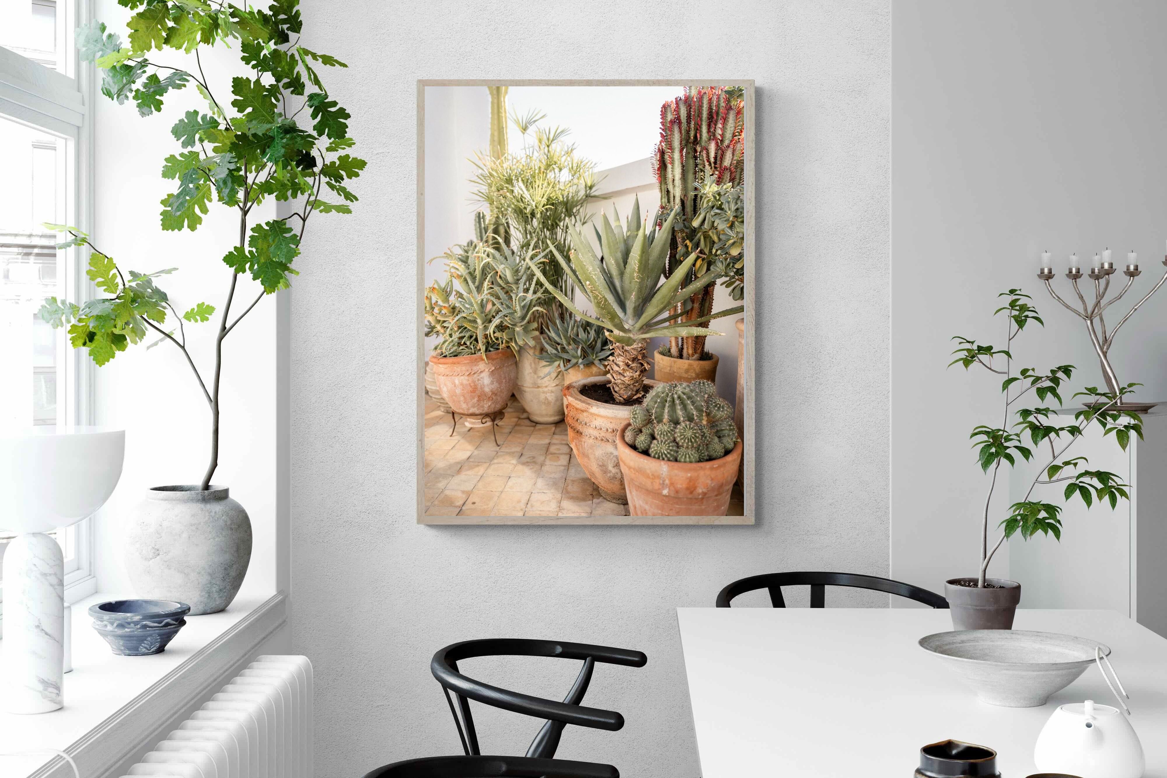 Pixalot Potted Succulents