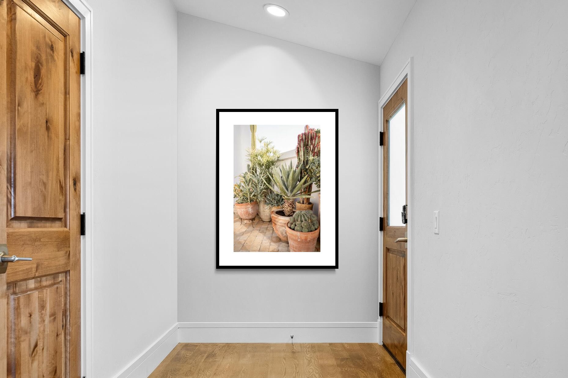 Pixalot Potted Succulents