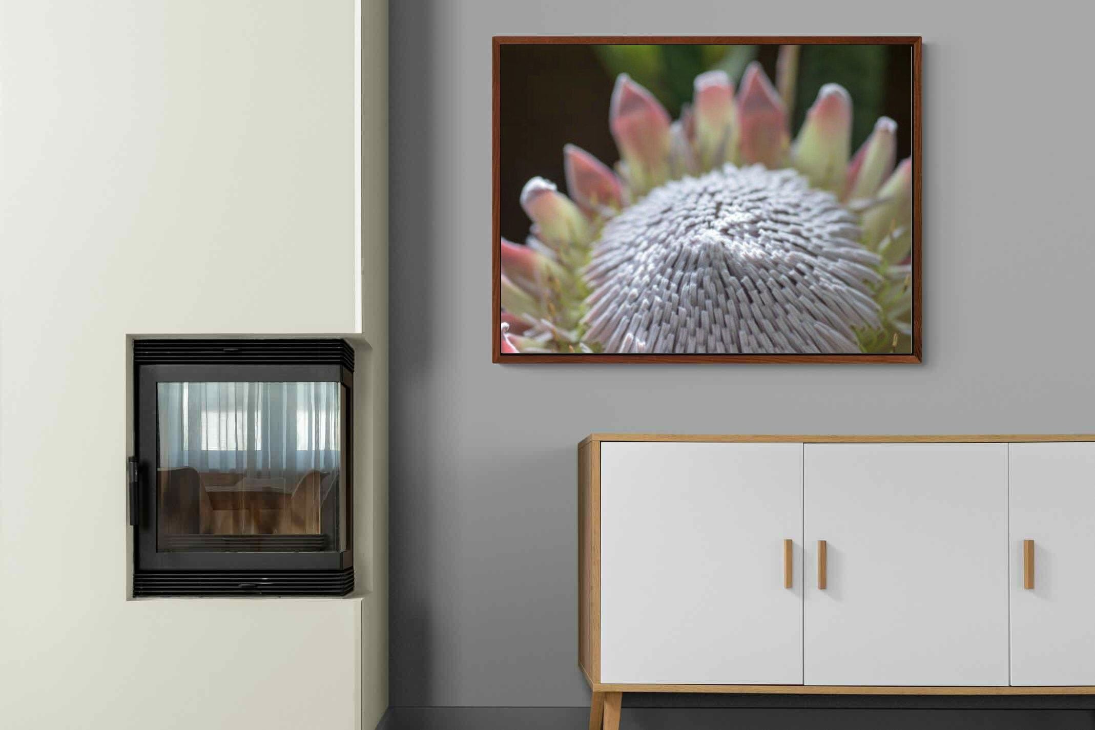 Pixalot ® Protea Bloom