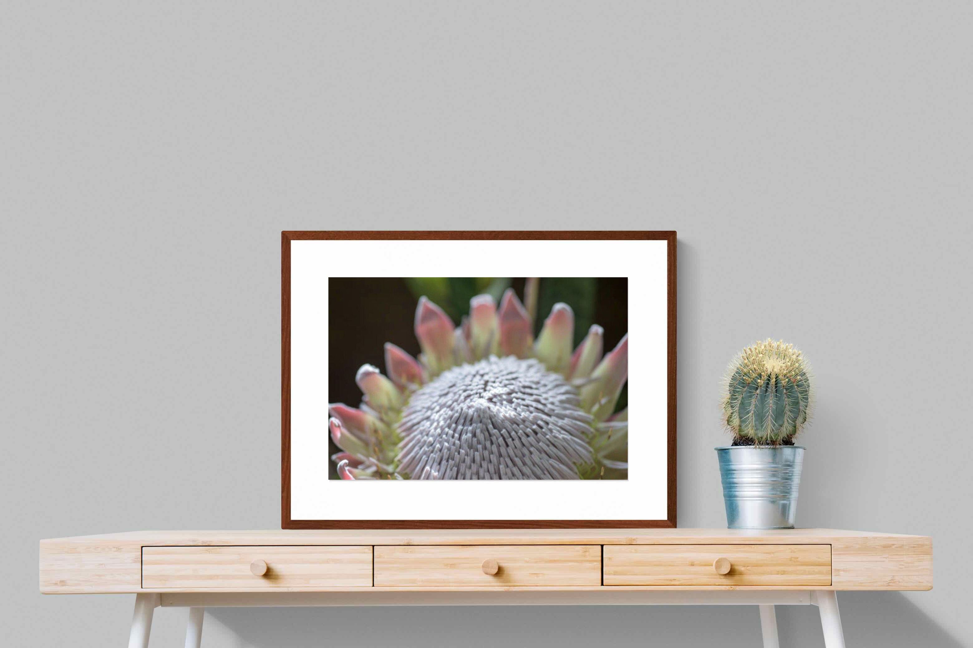 Pixalot ® Protea Bloom