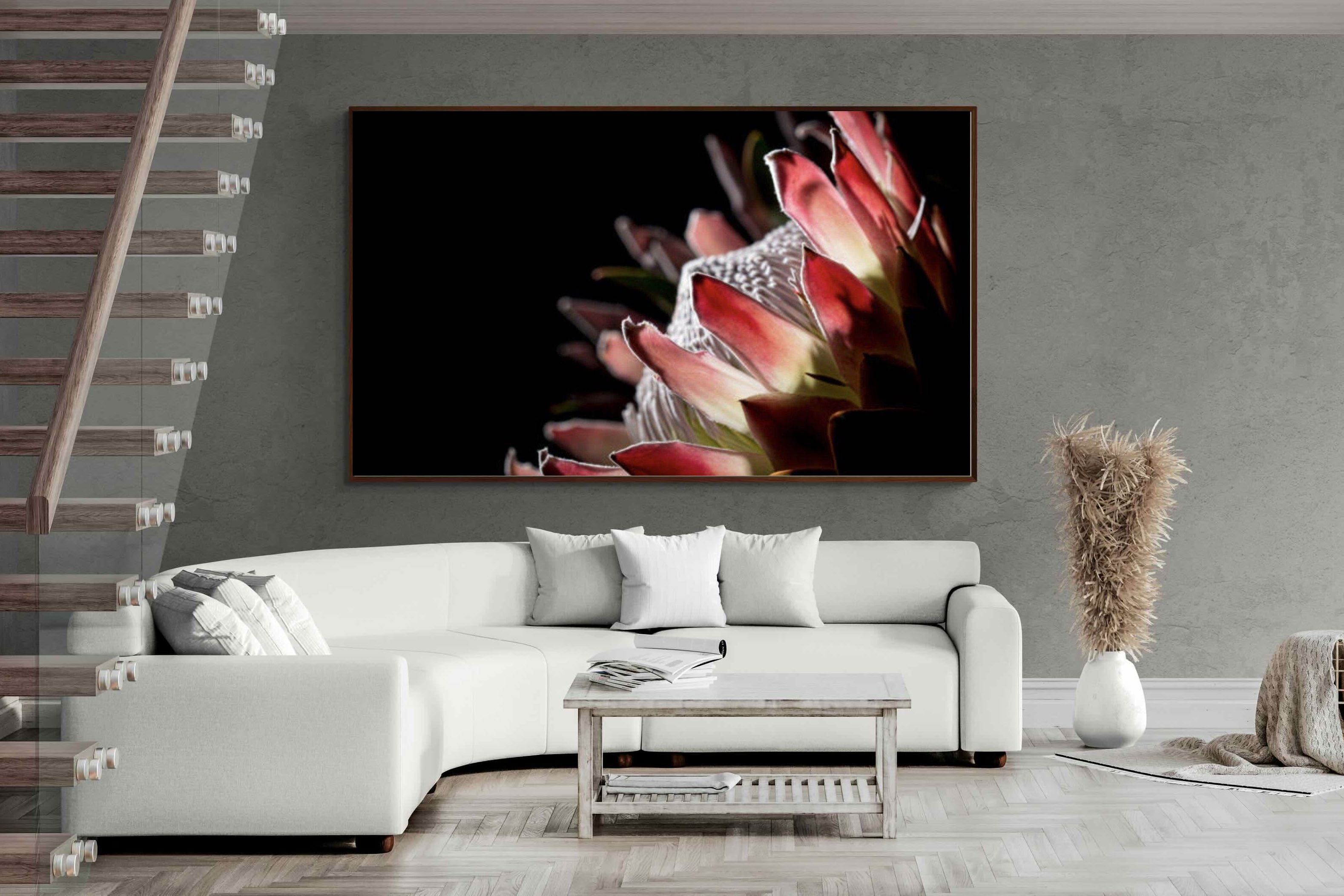 Pixalot ® Protea