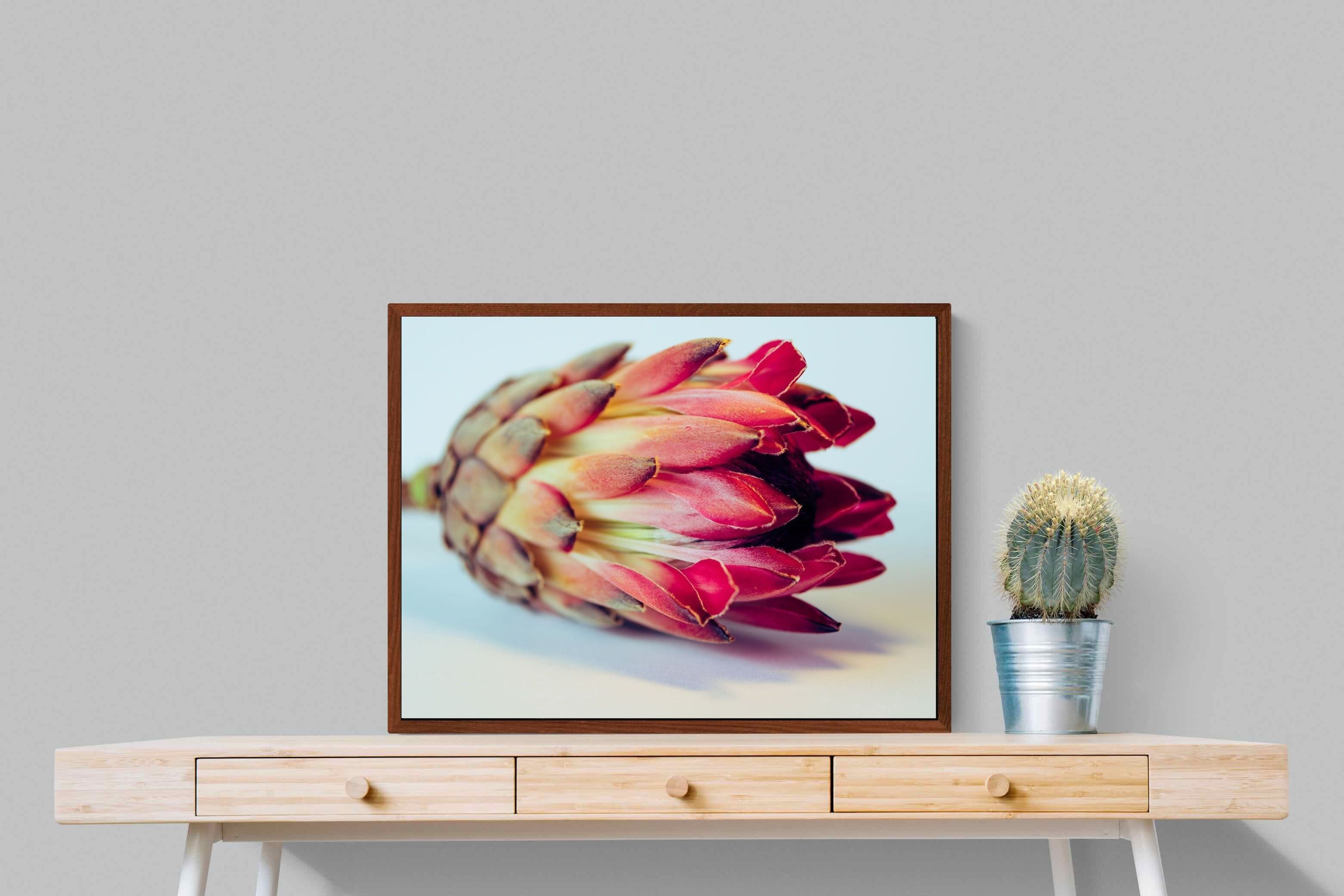 Pixalot ® Protea Still Life
