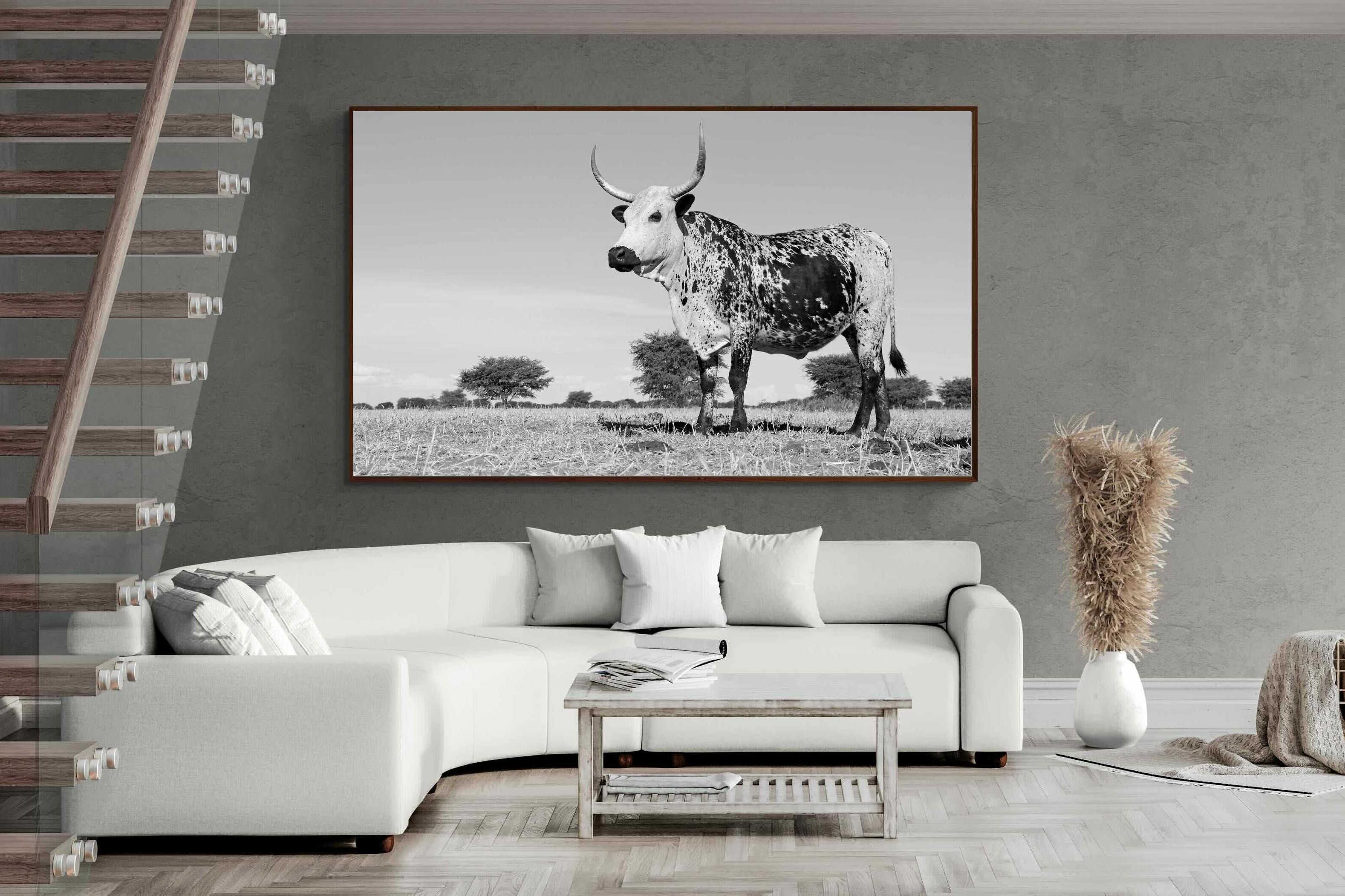 Pixalot ® Proud Nguni