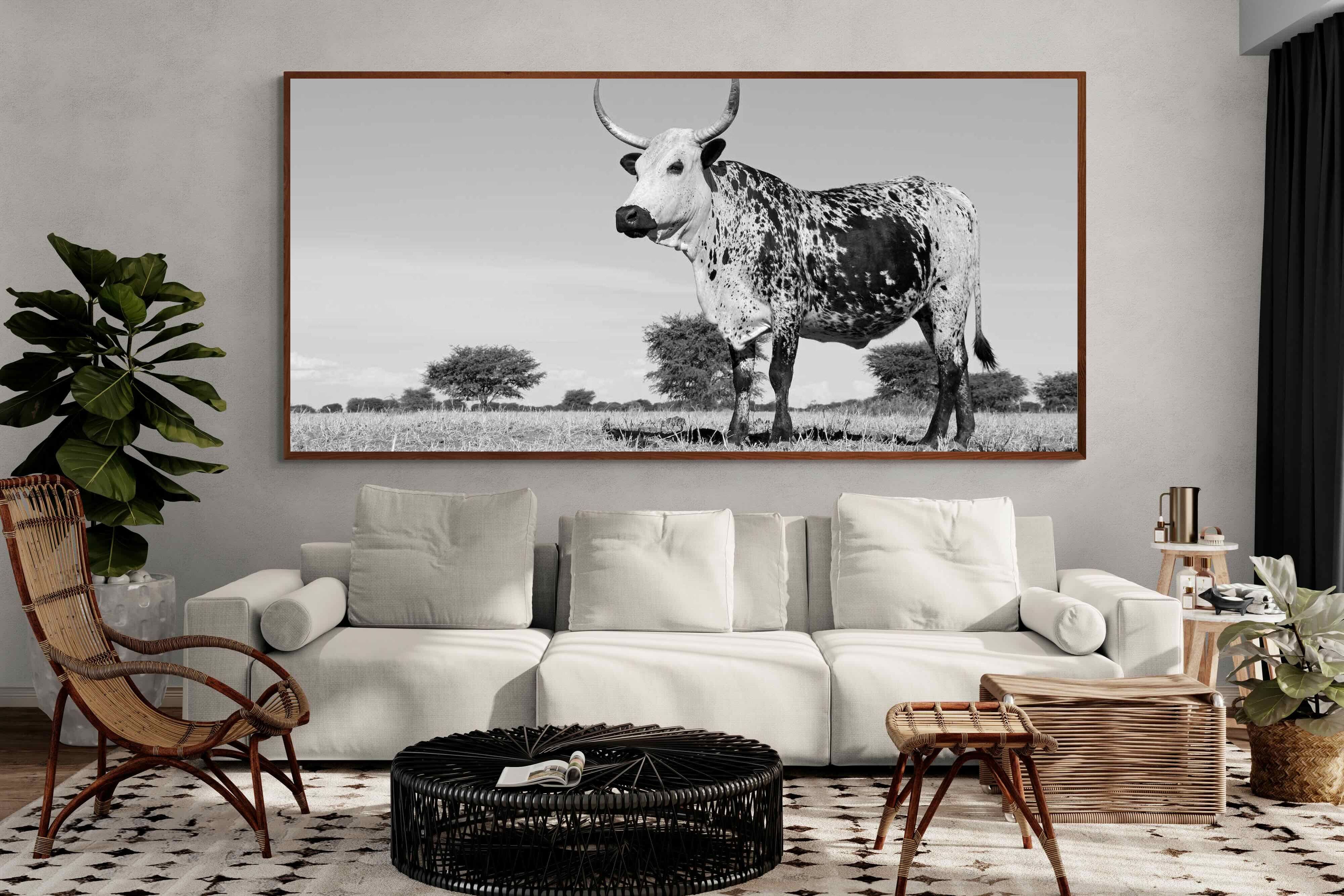 Pixalot ® Proud Nguni