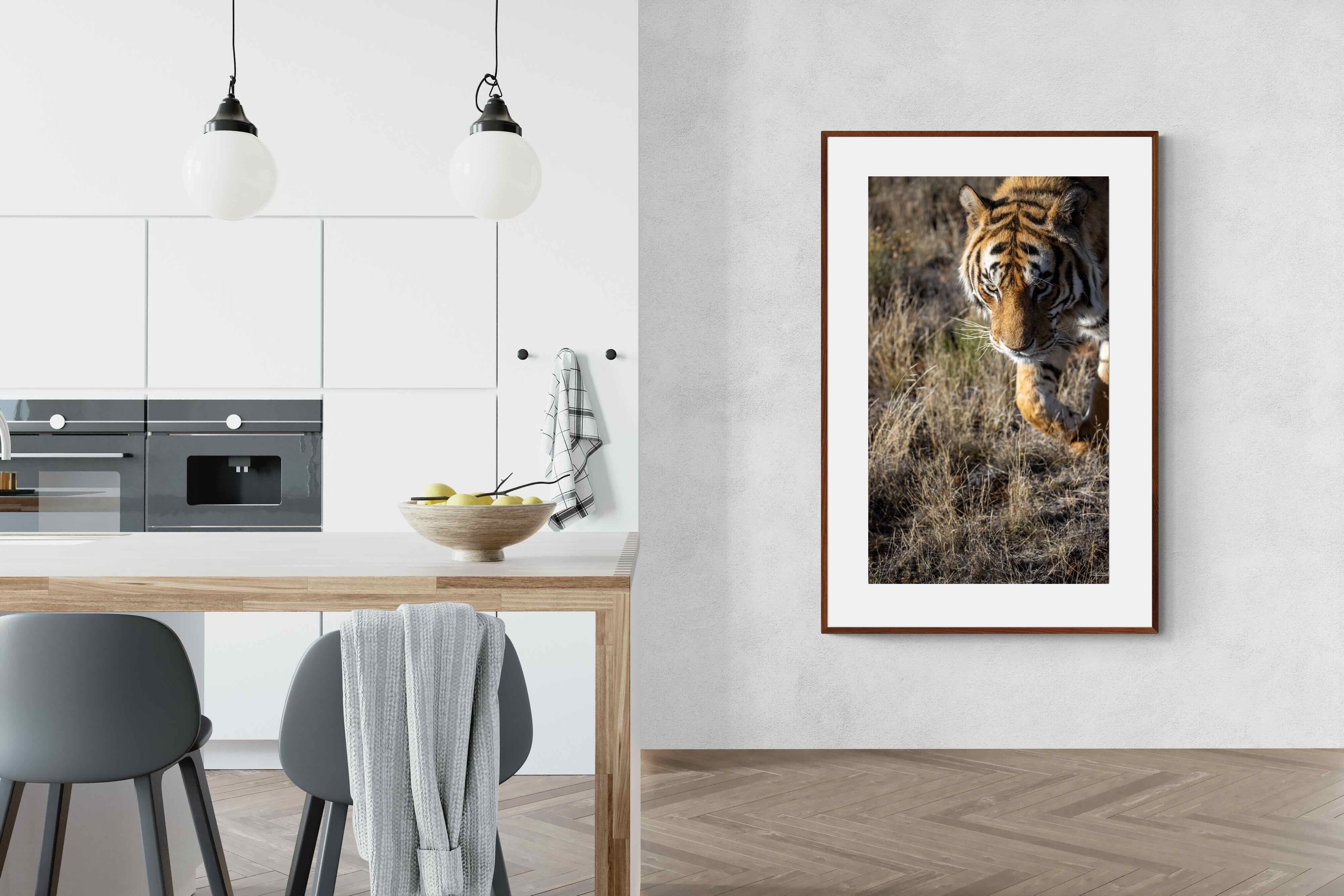 Pixalot Prowling Tiger