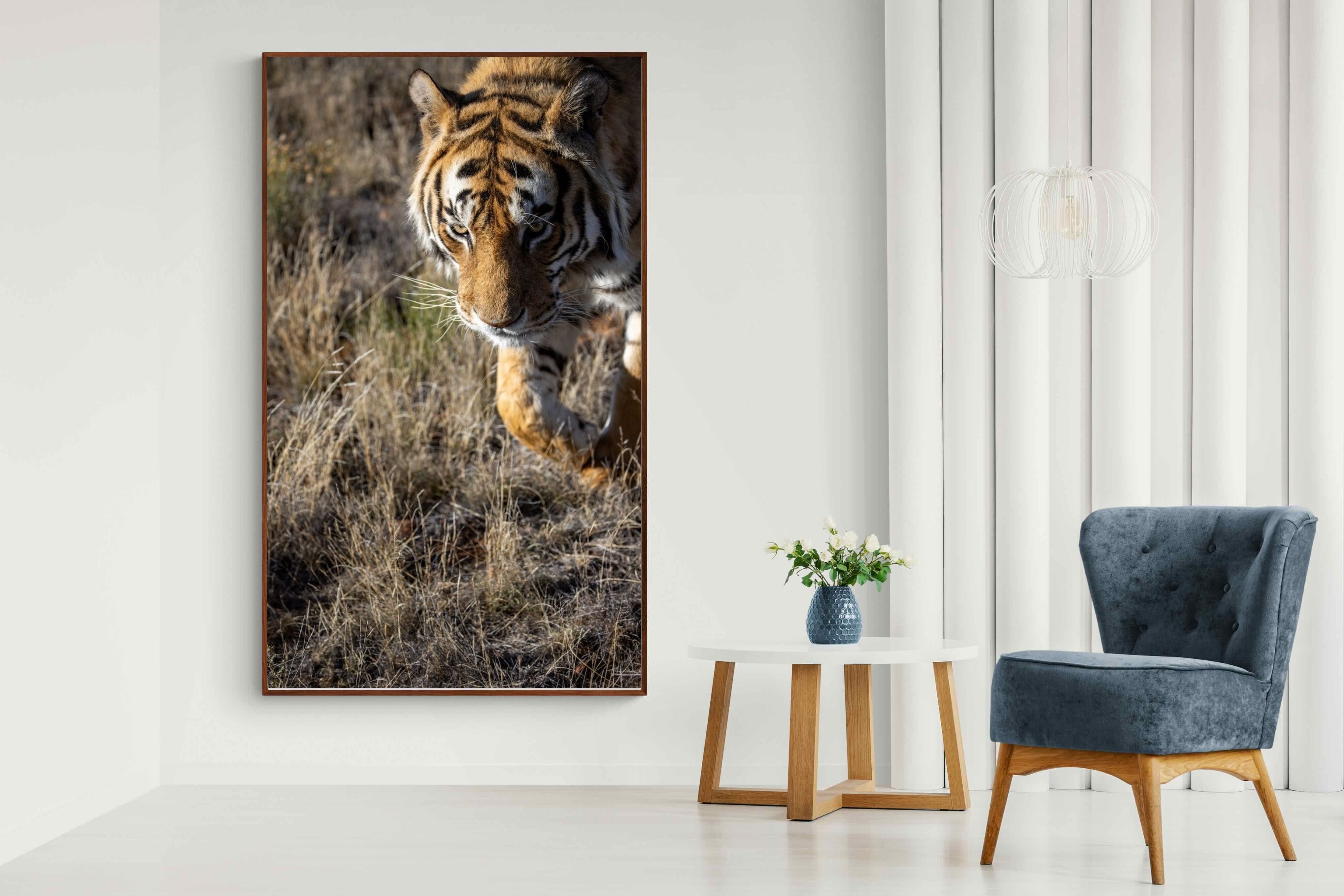 Pixalot Prowling Tiger