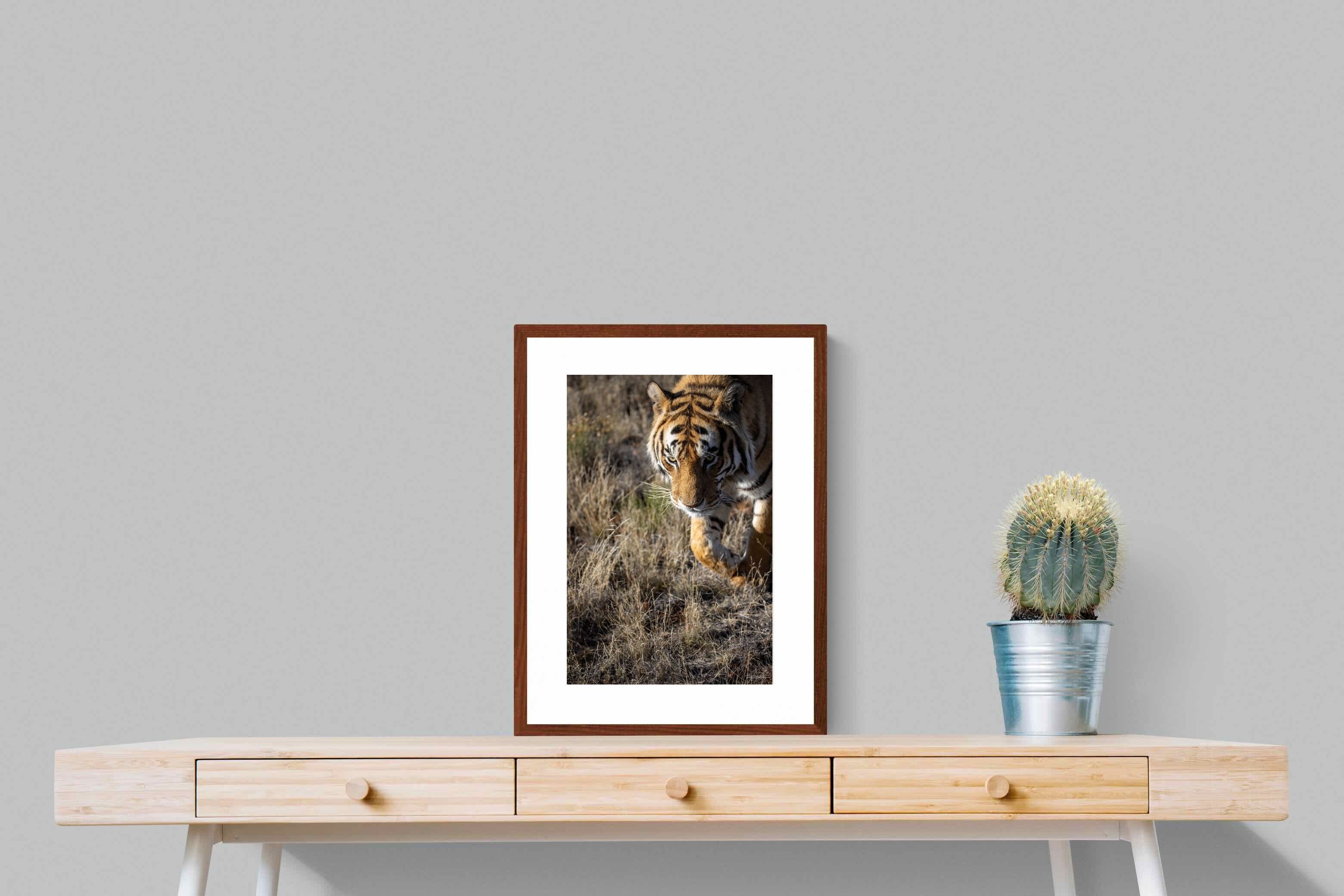 Pixalot Prowling Tiger