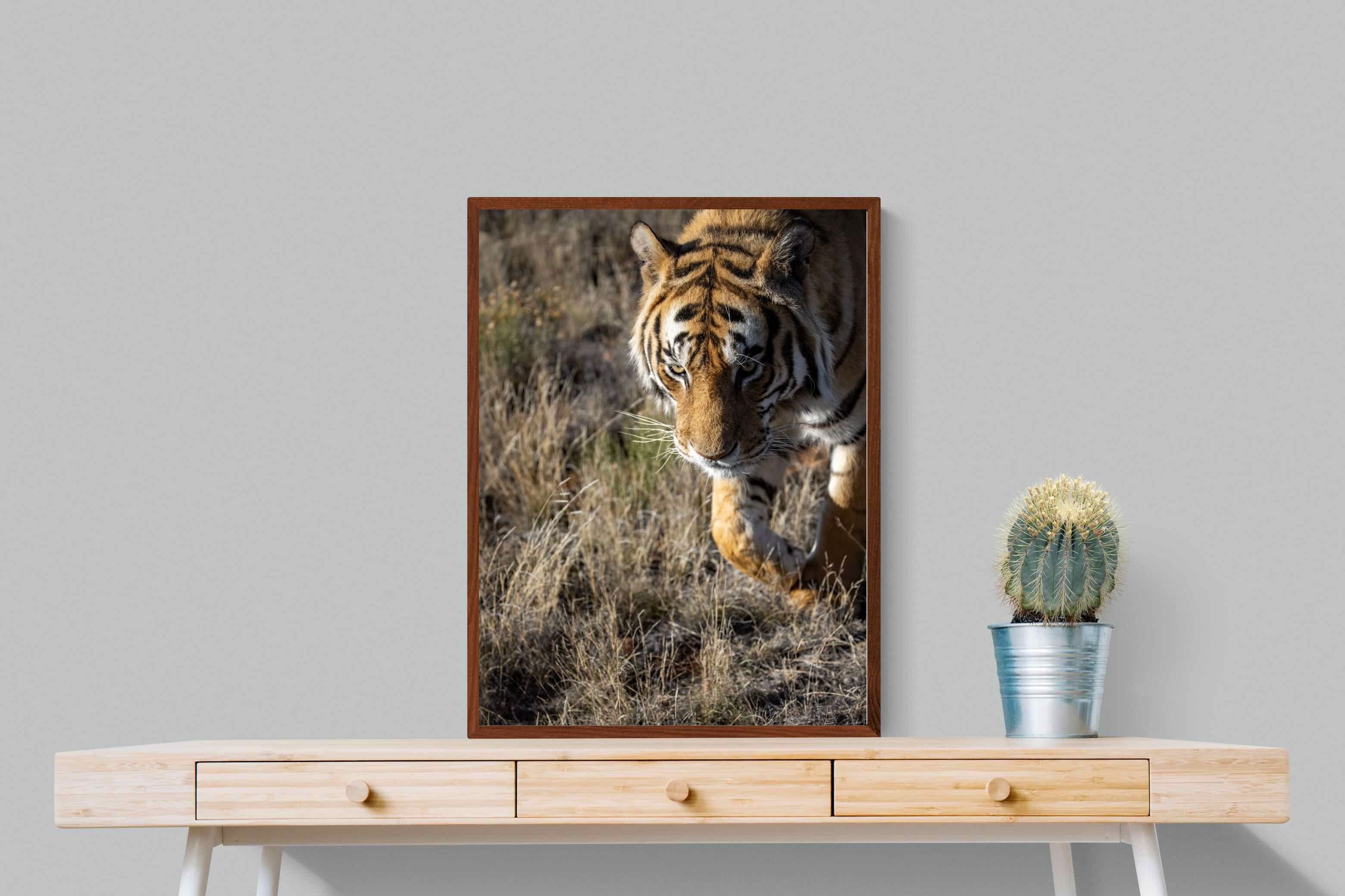 Pixalot Prowling Tiger