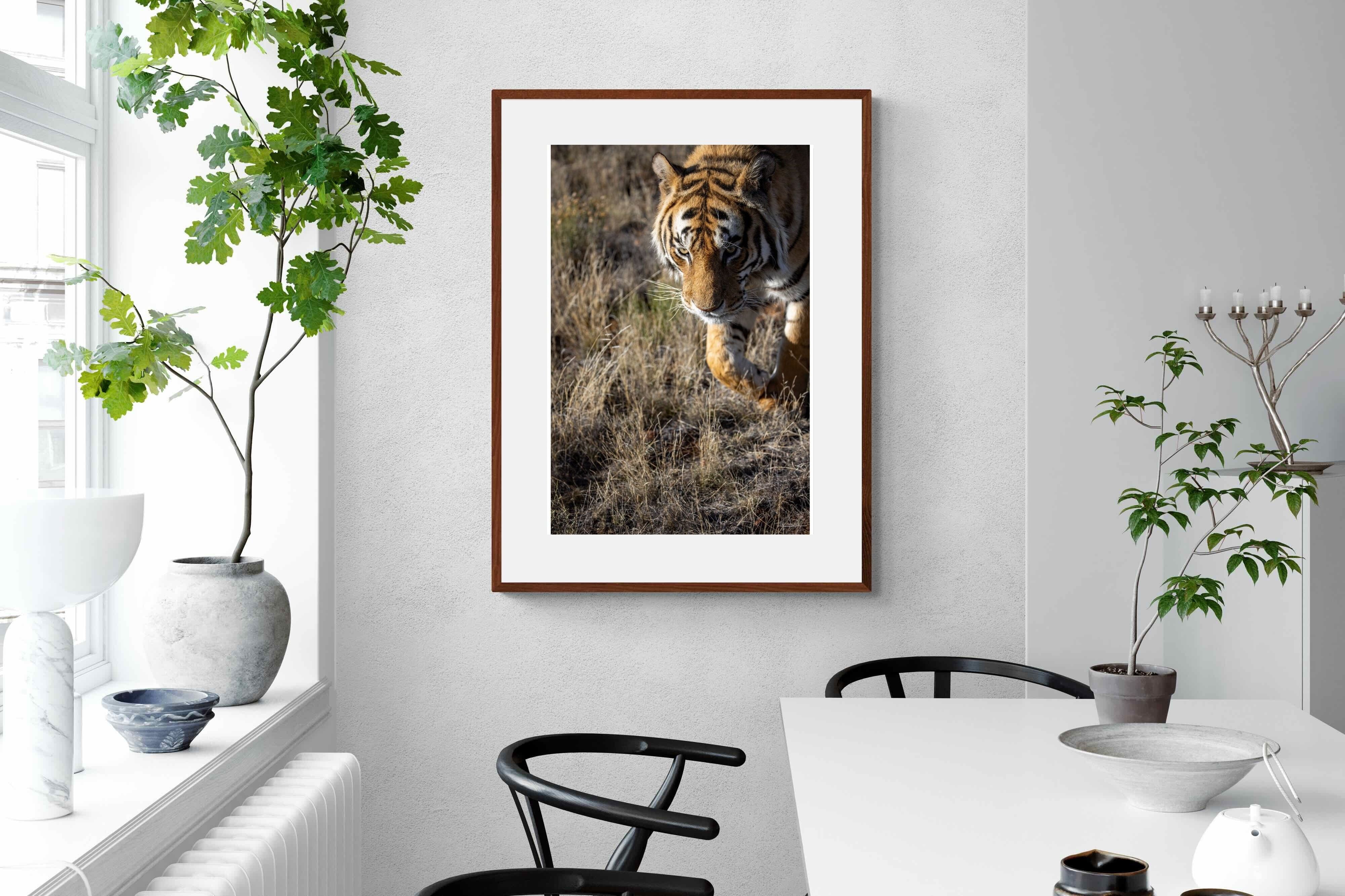 Pixalot Prowling Tiger