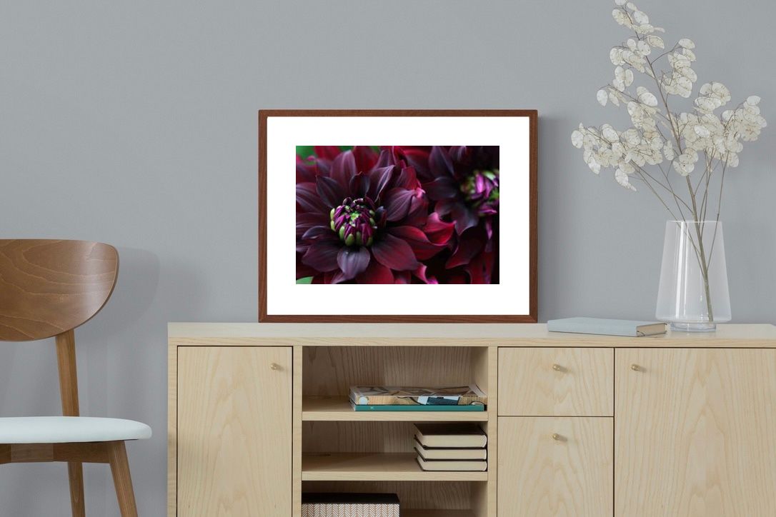 Pixalot ® Purple Petals